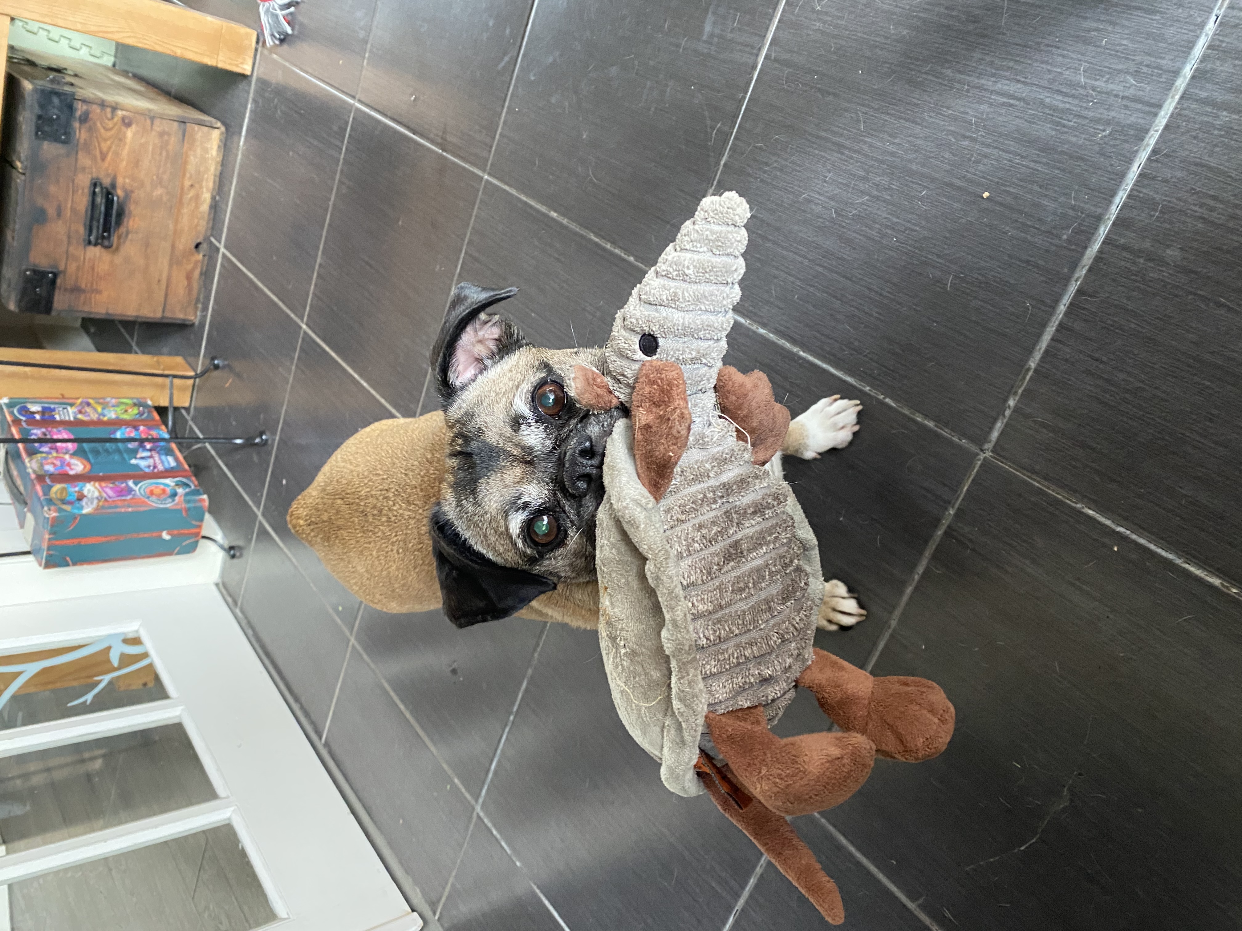 image-25