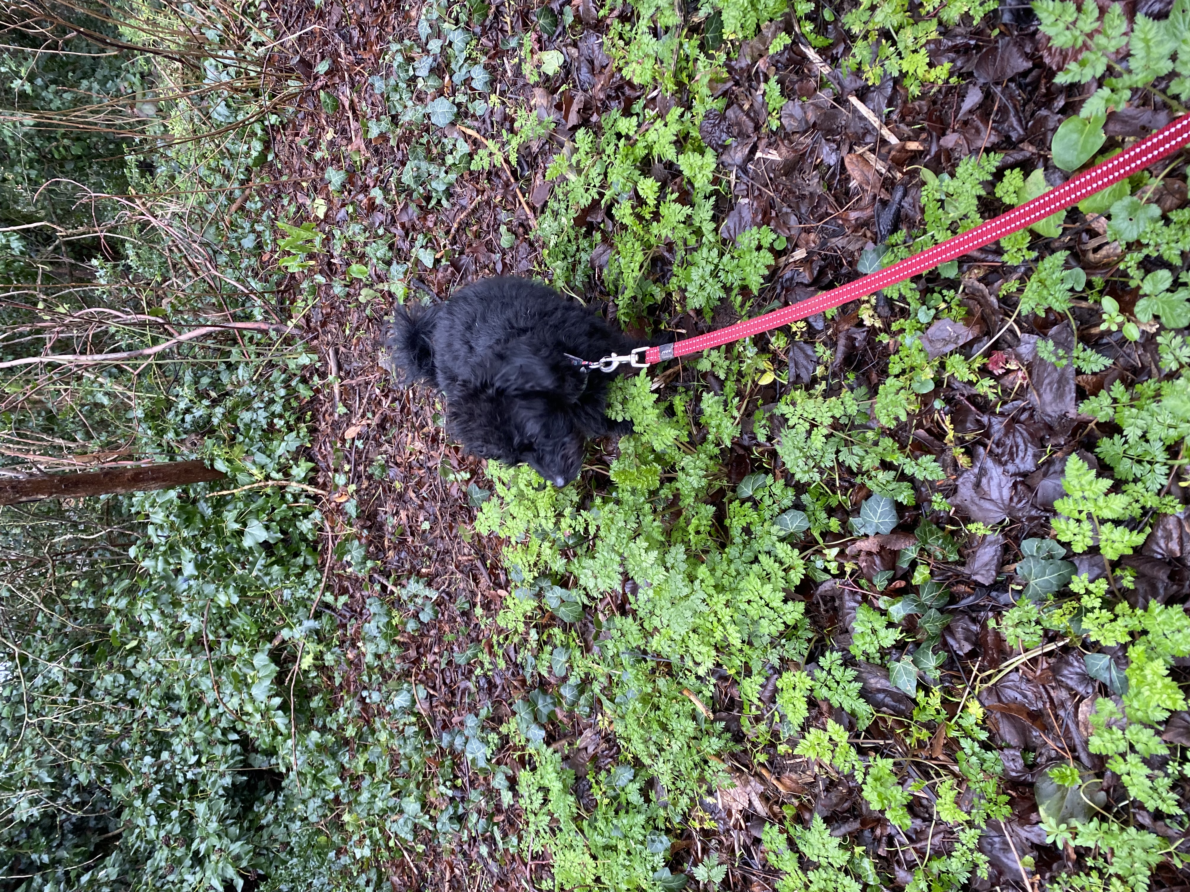 image-16