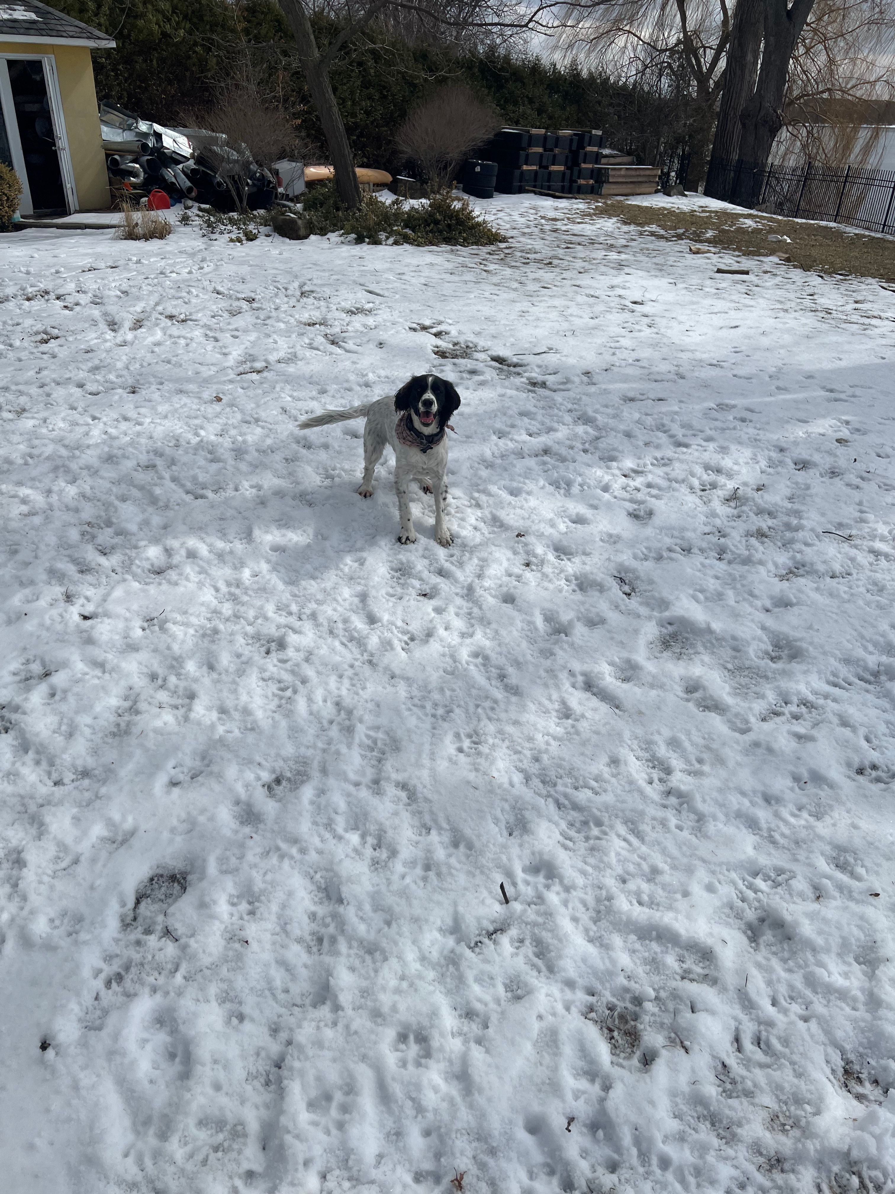image-5
