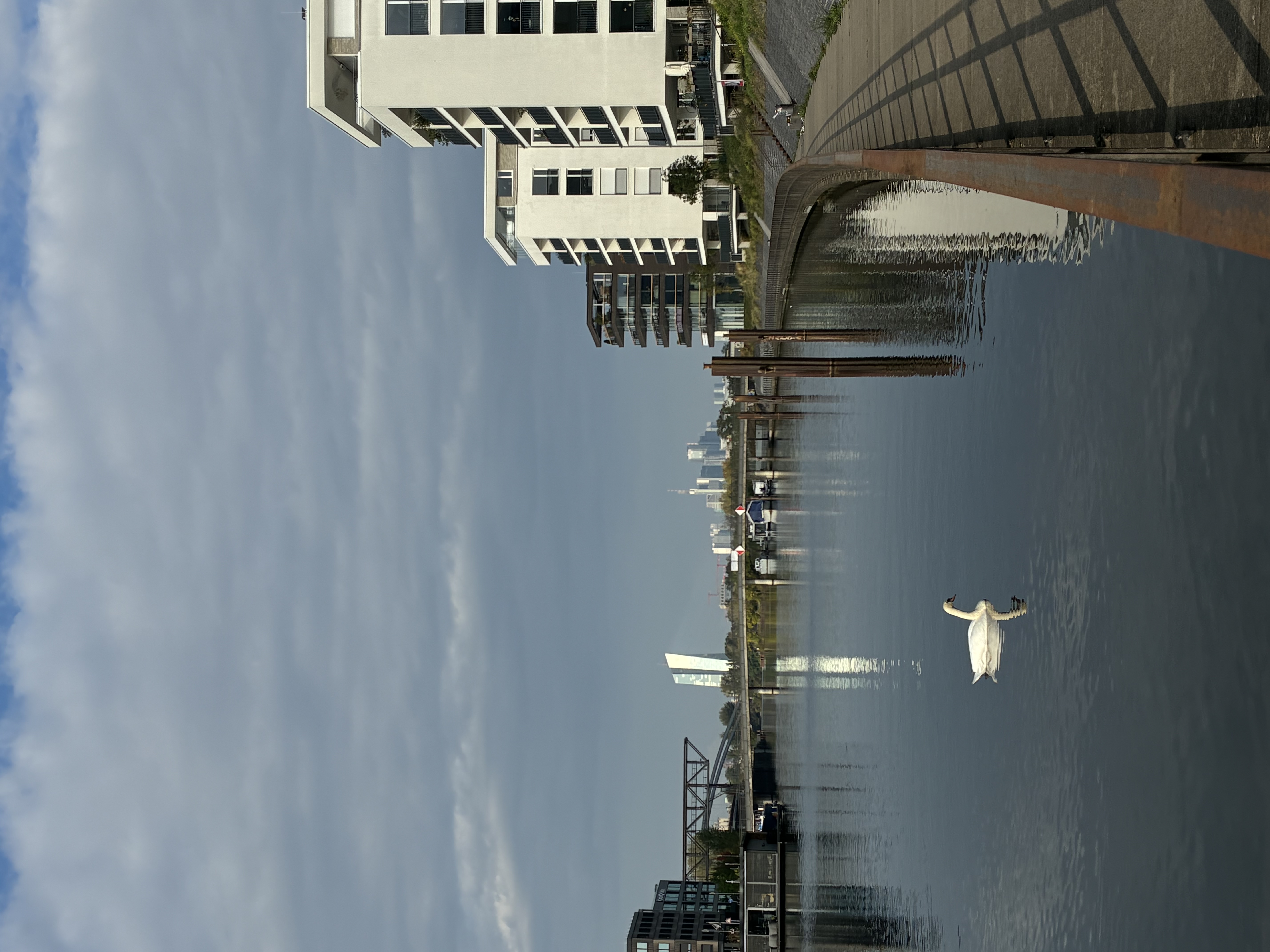 image-19