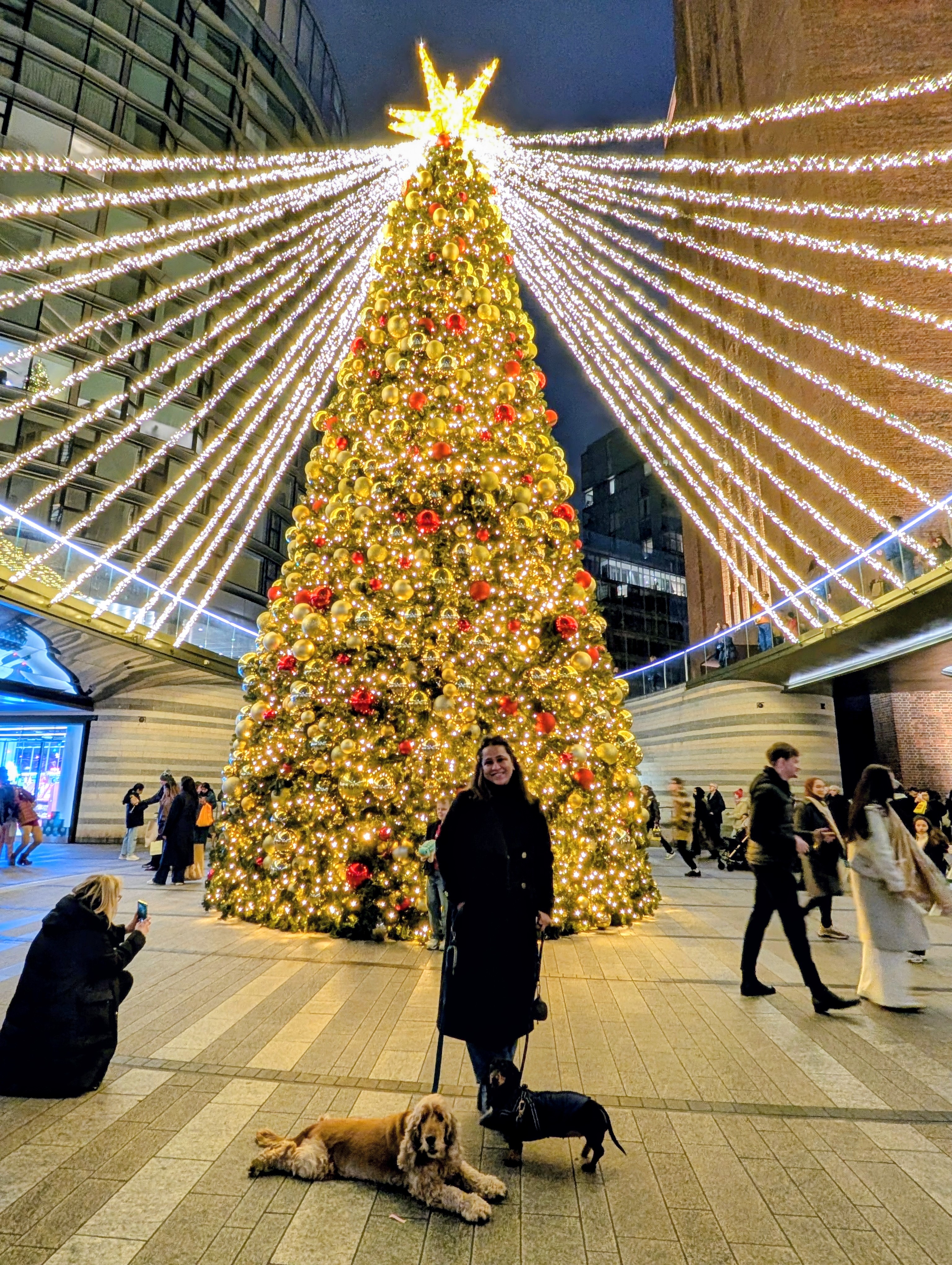 image-2