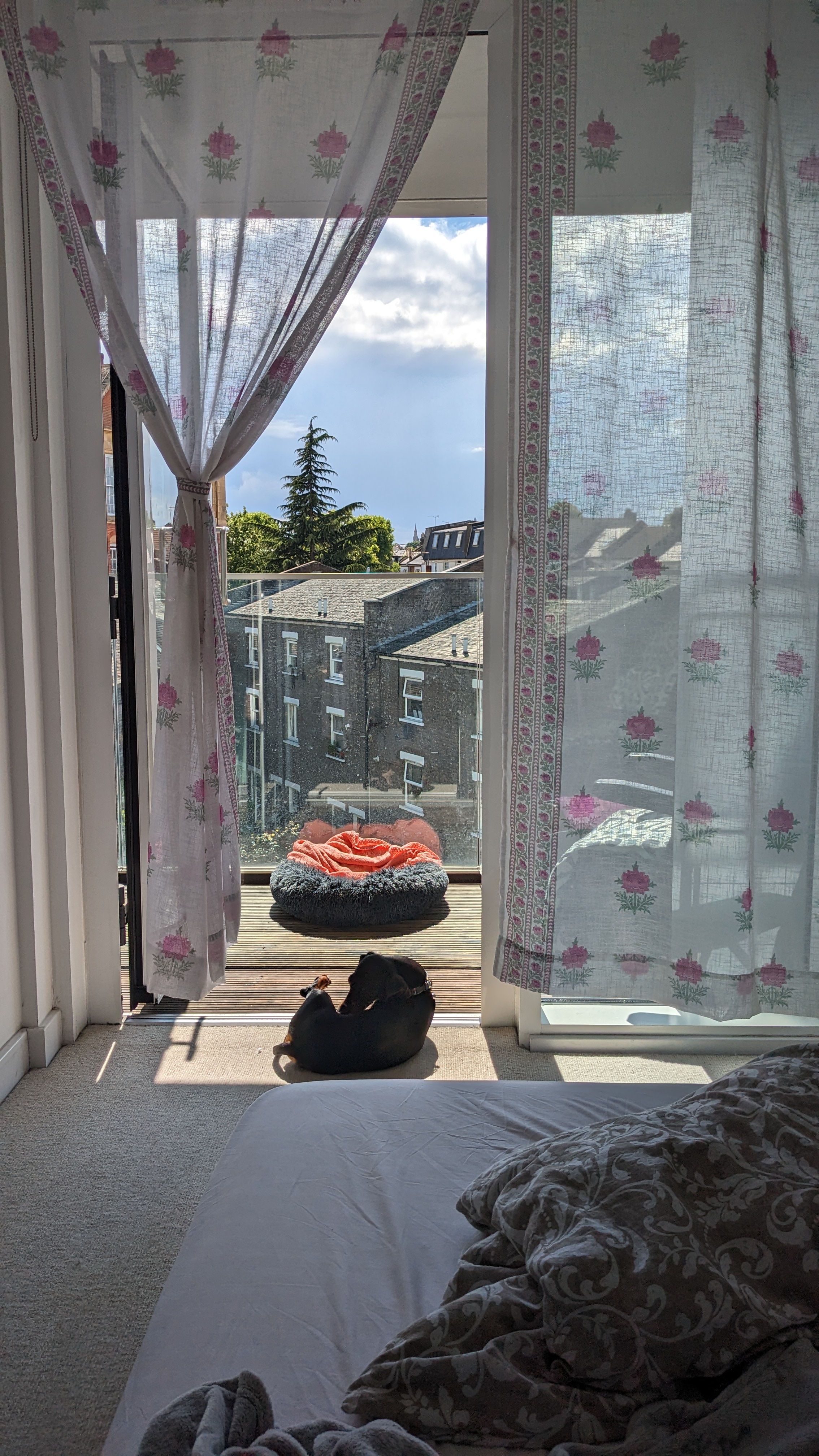 image-13