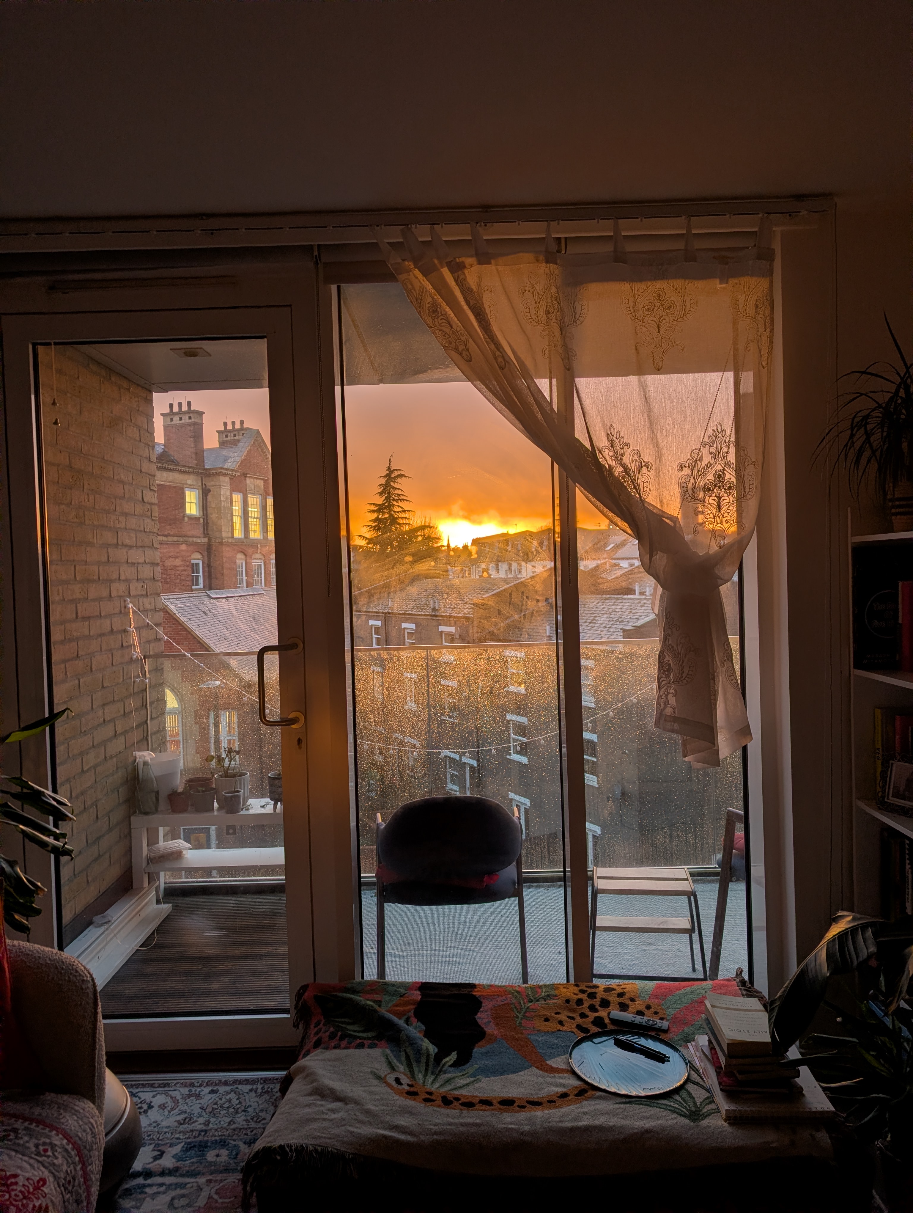 image-15