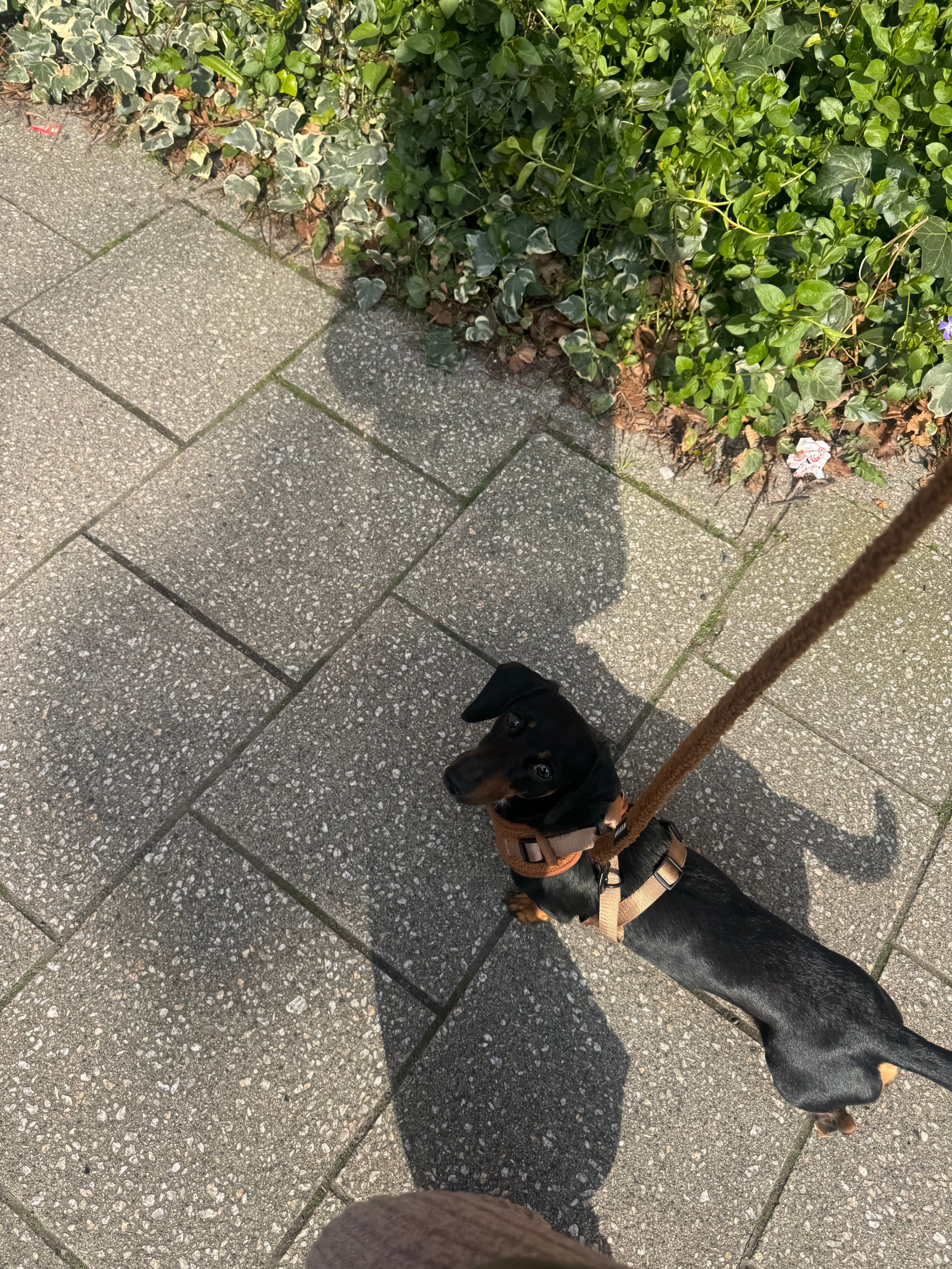 image-15