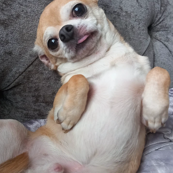 Ralph
