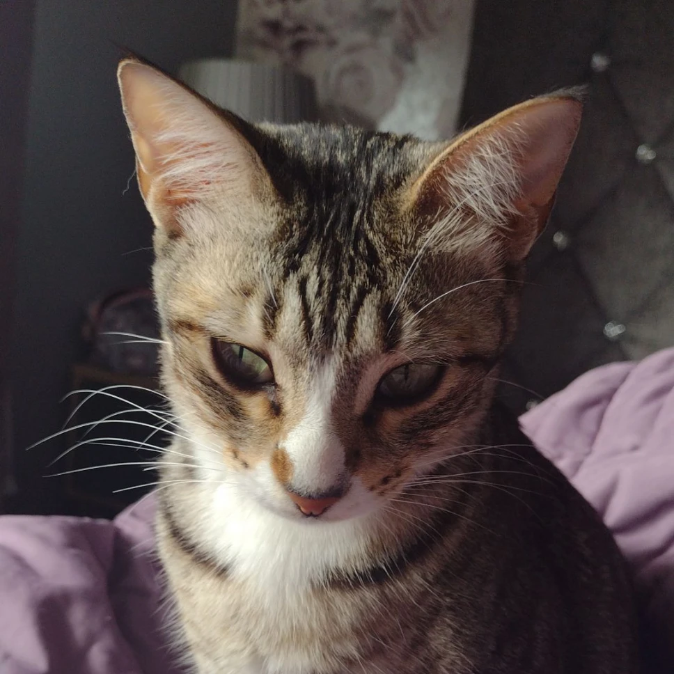 Lola