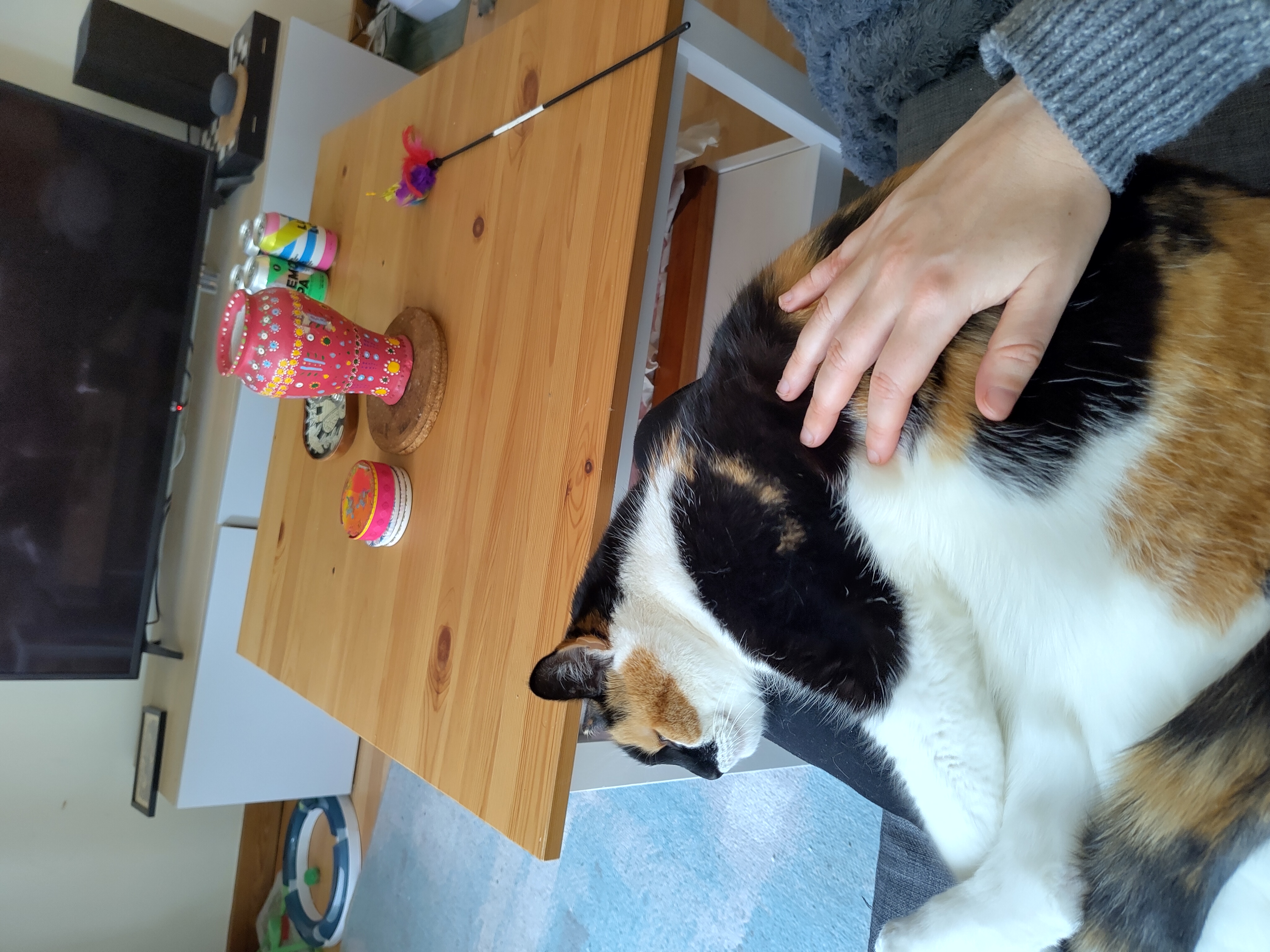 image-7