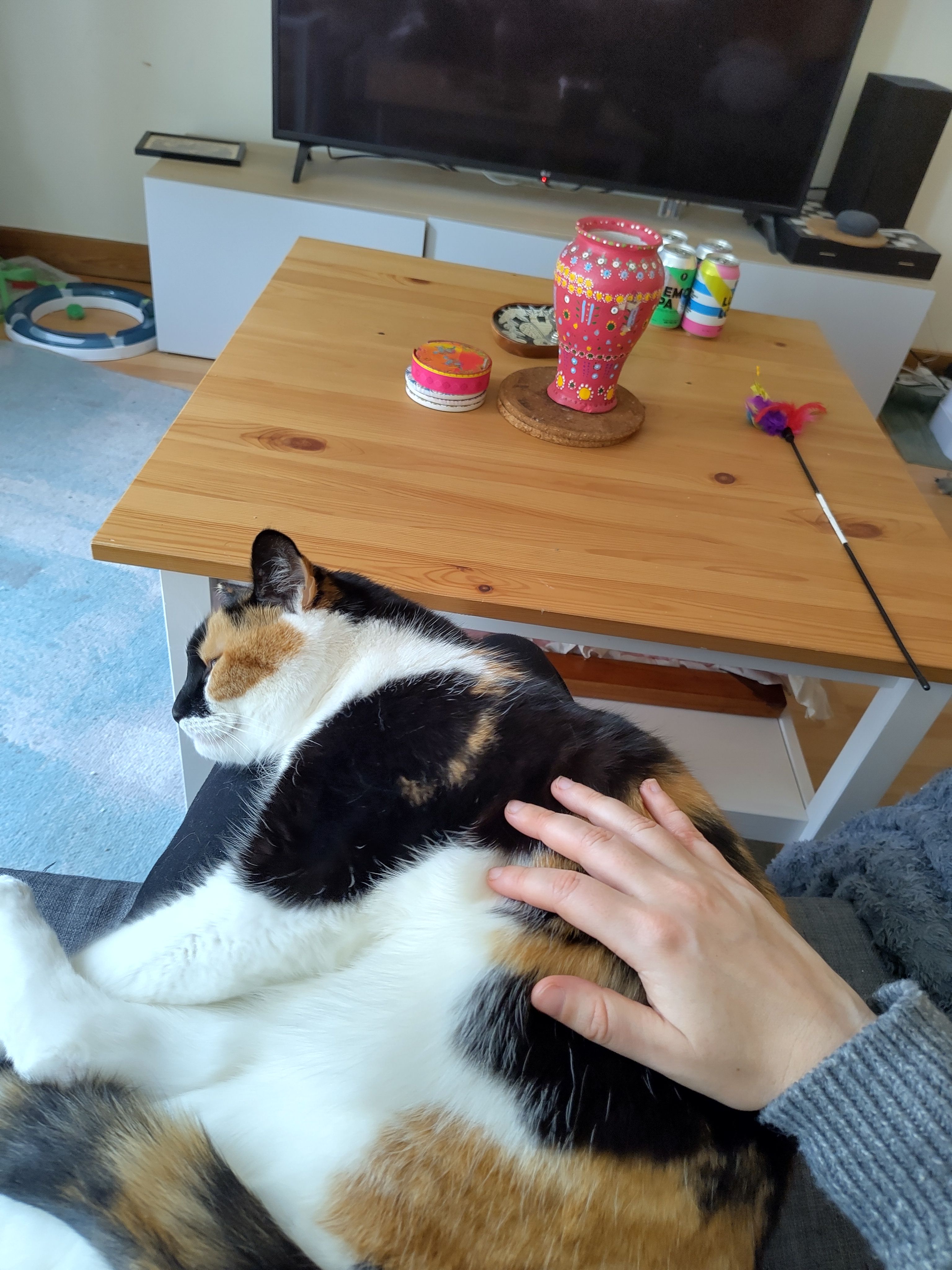 image-7