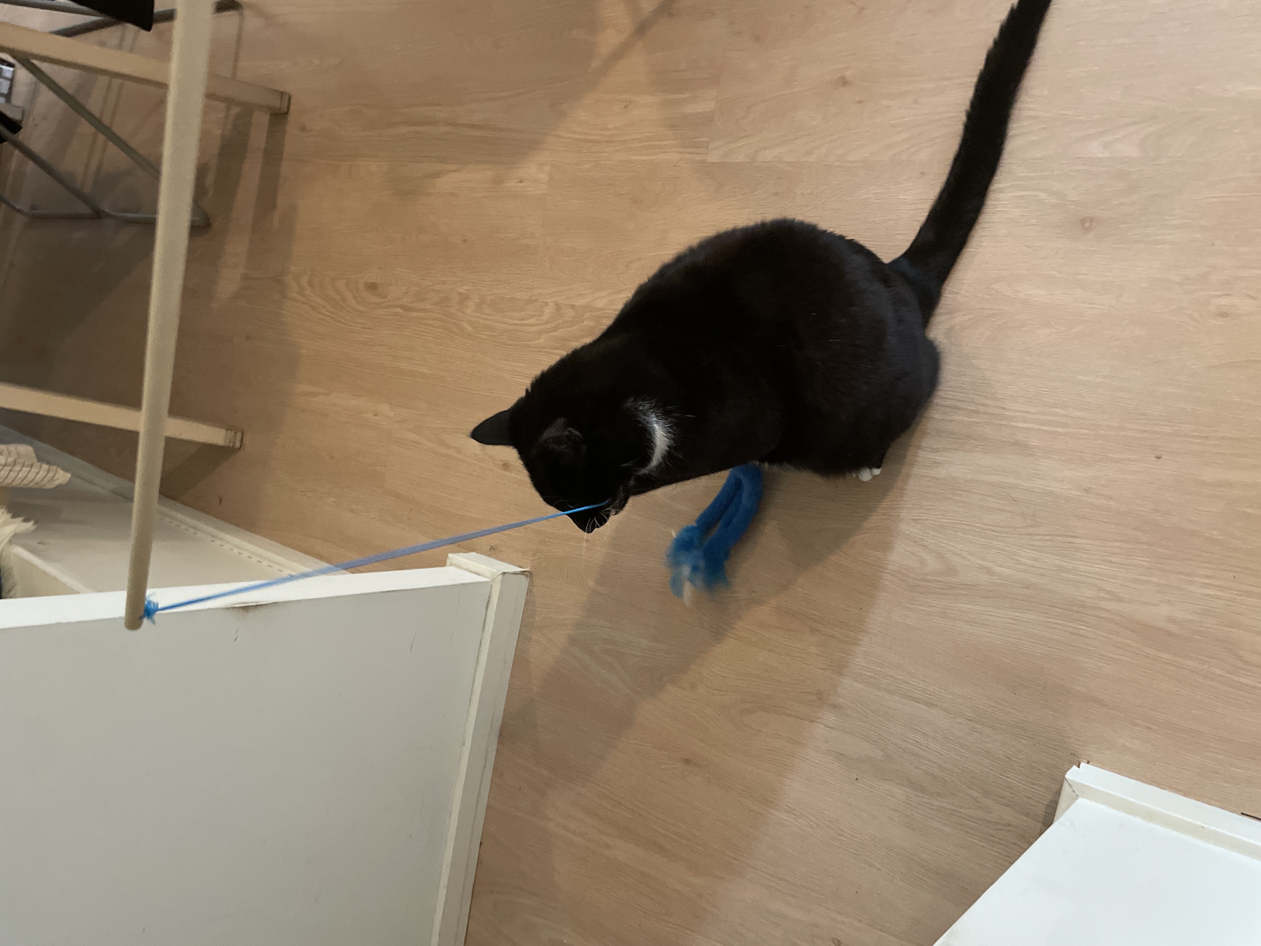 image-12