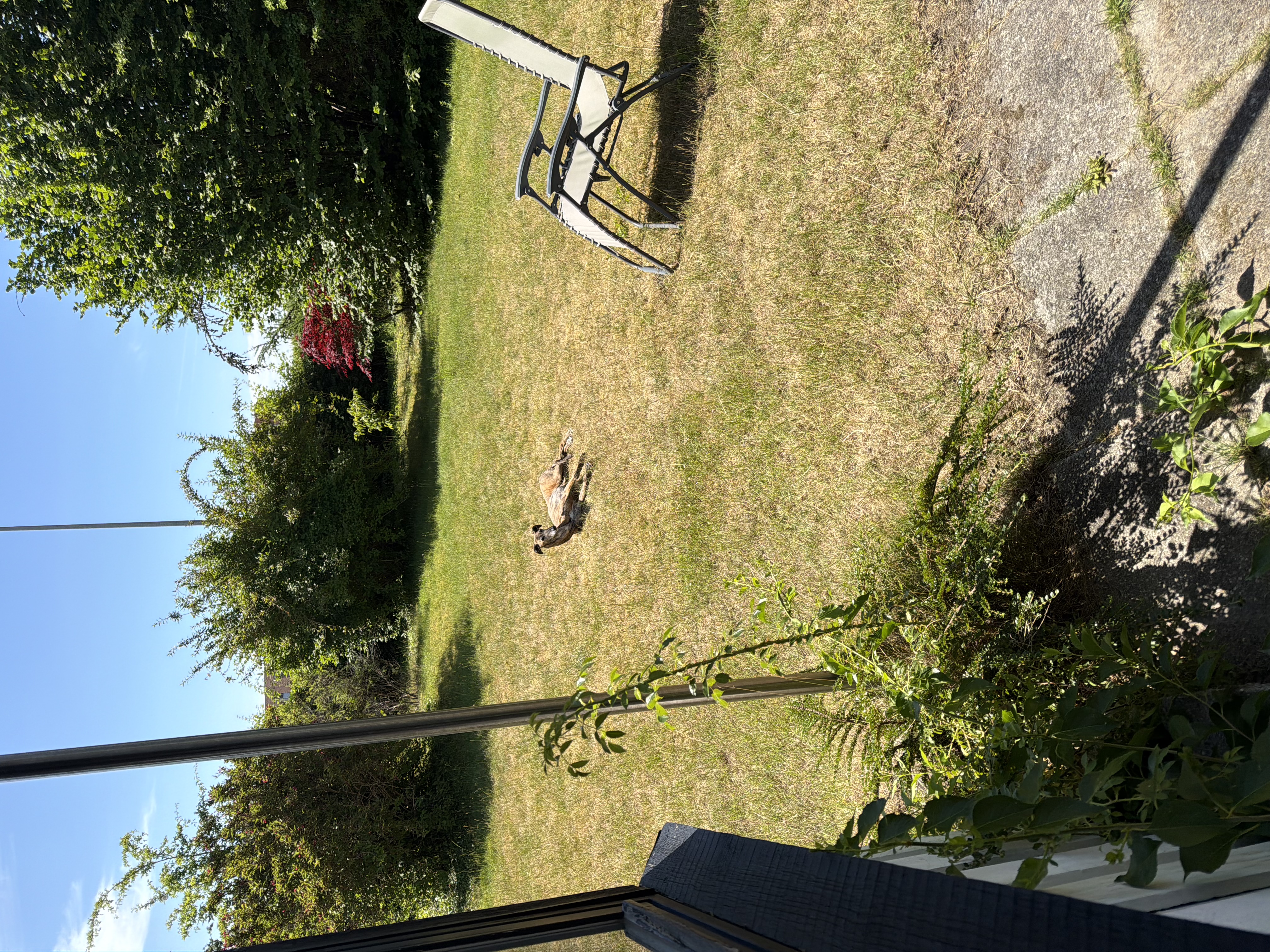 image-10