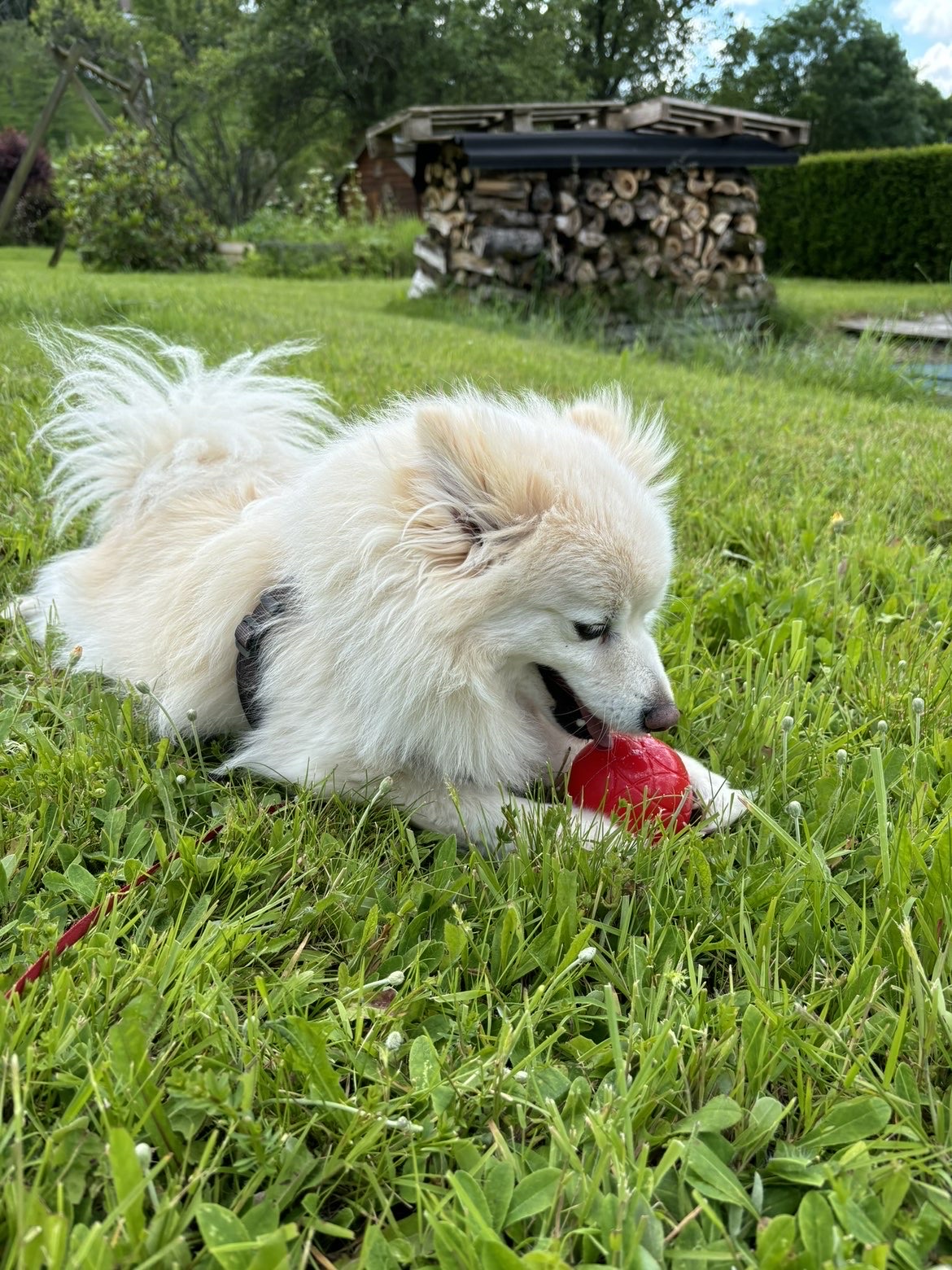 image-9