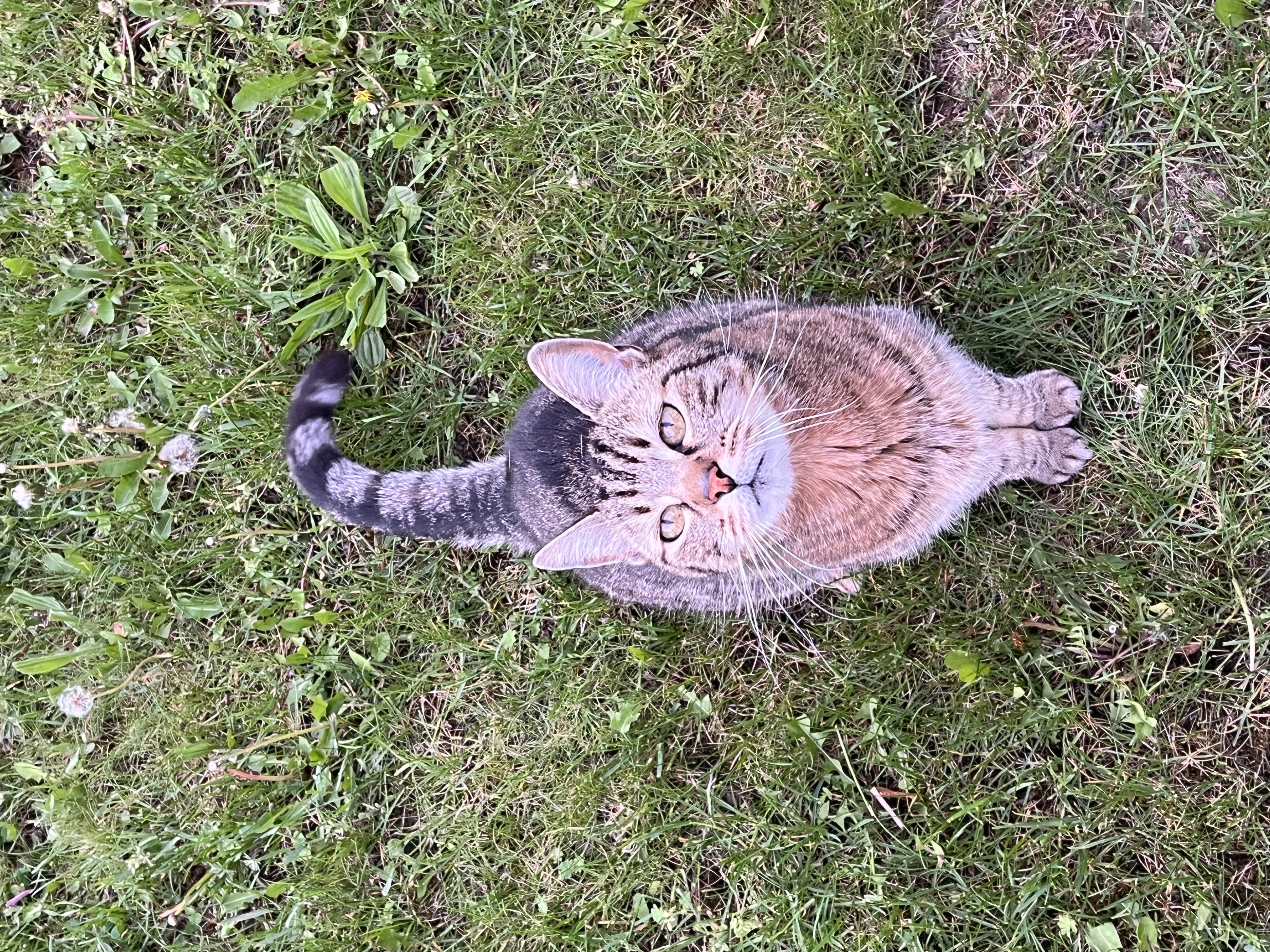 image-8