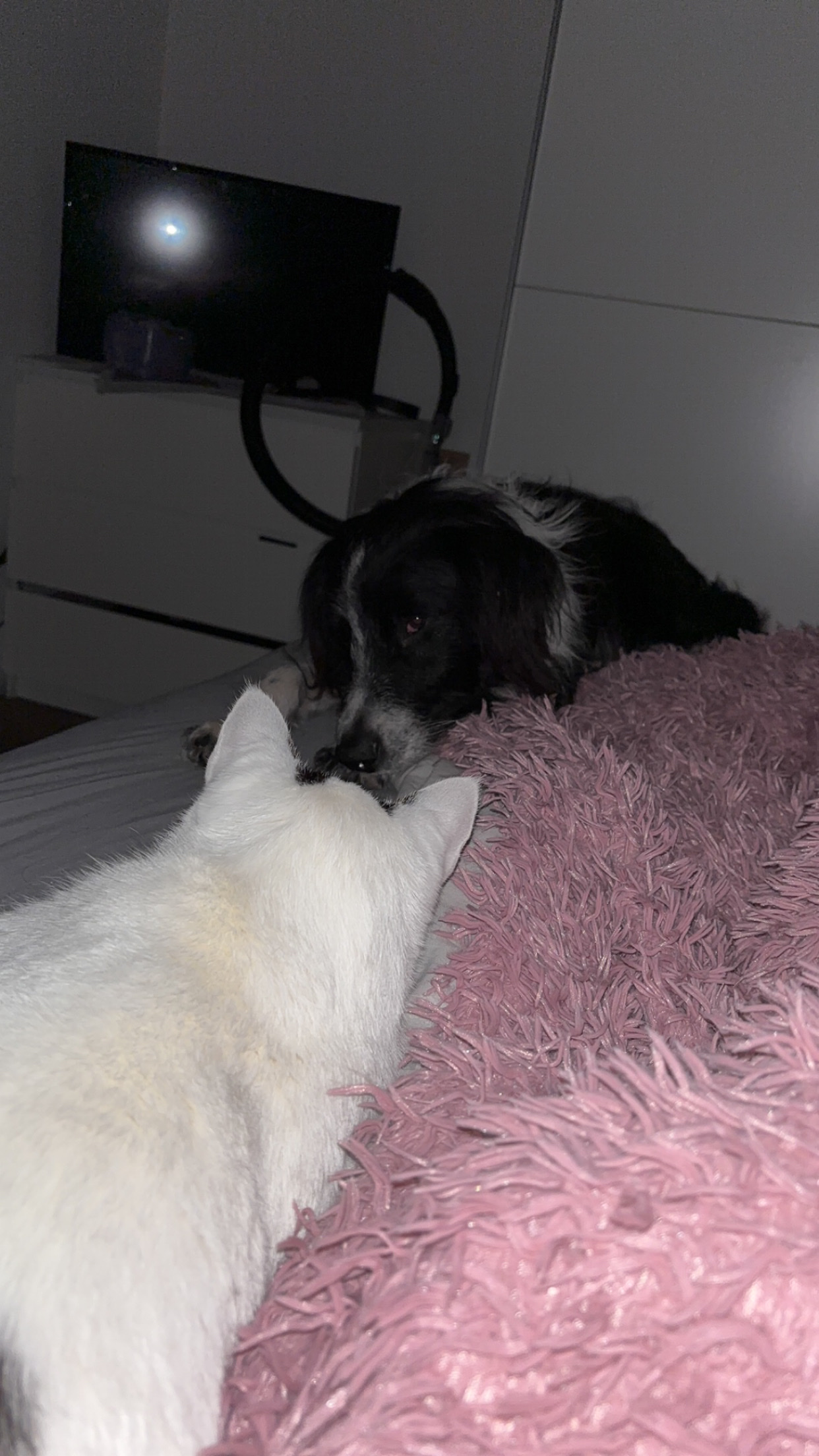 image-8