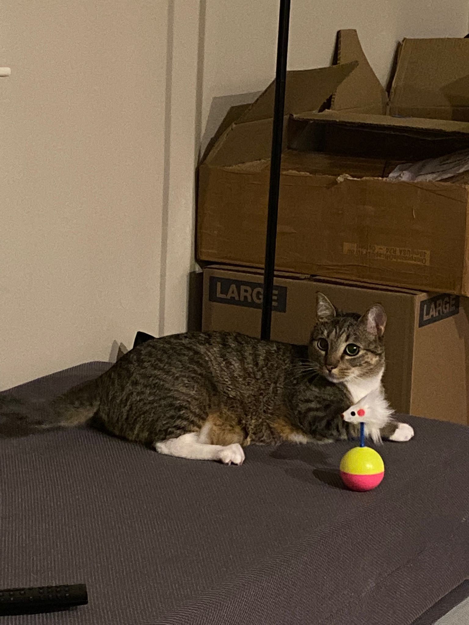 image-10