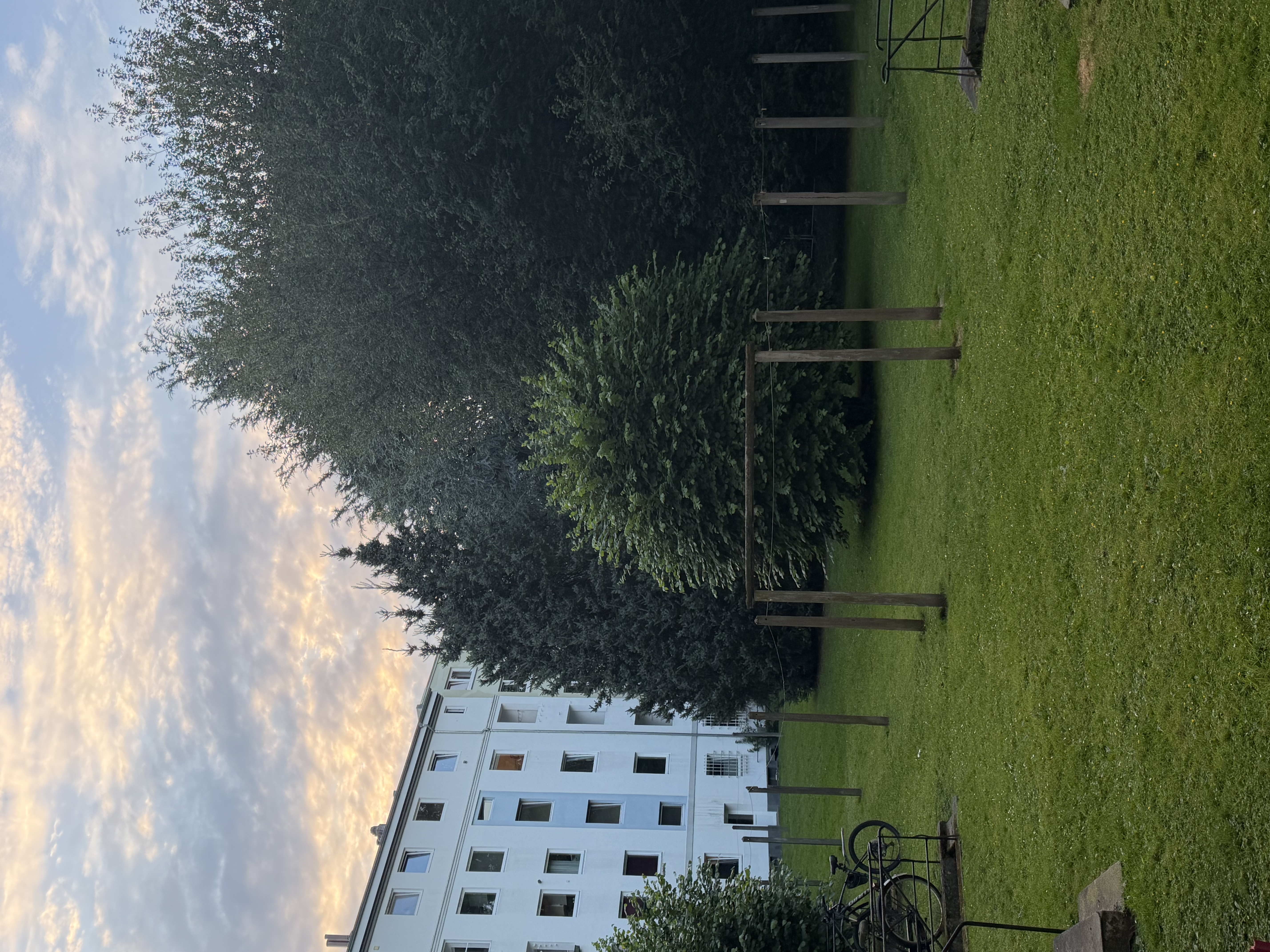 image-23