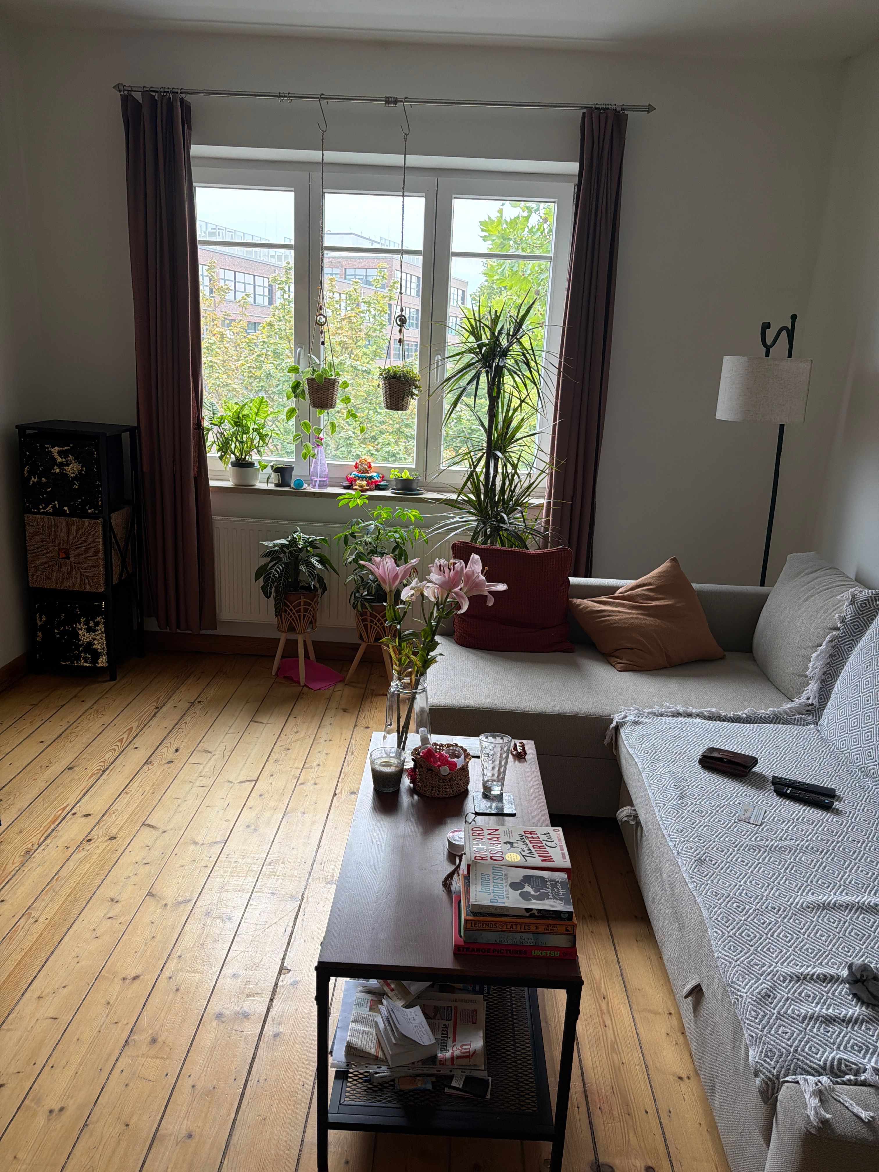 image-16