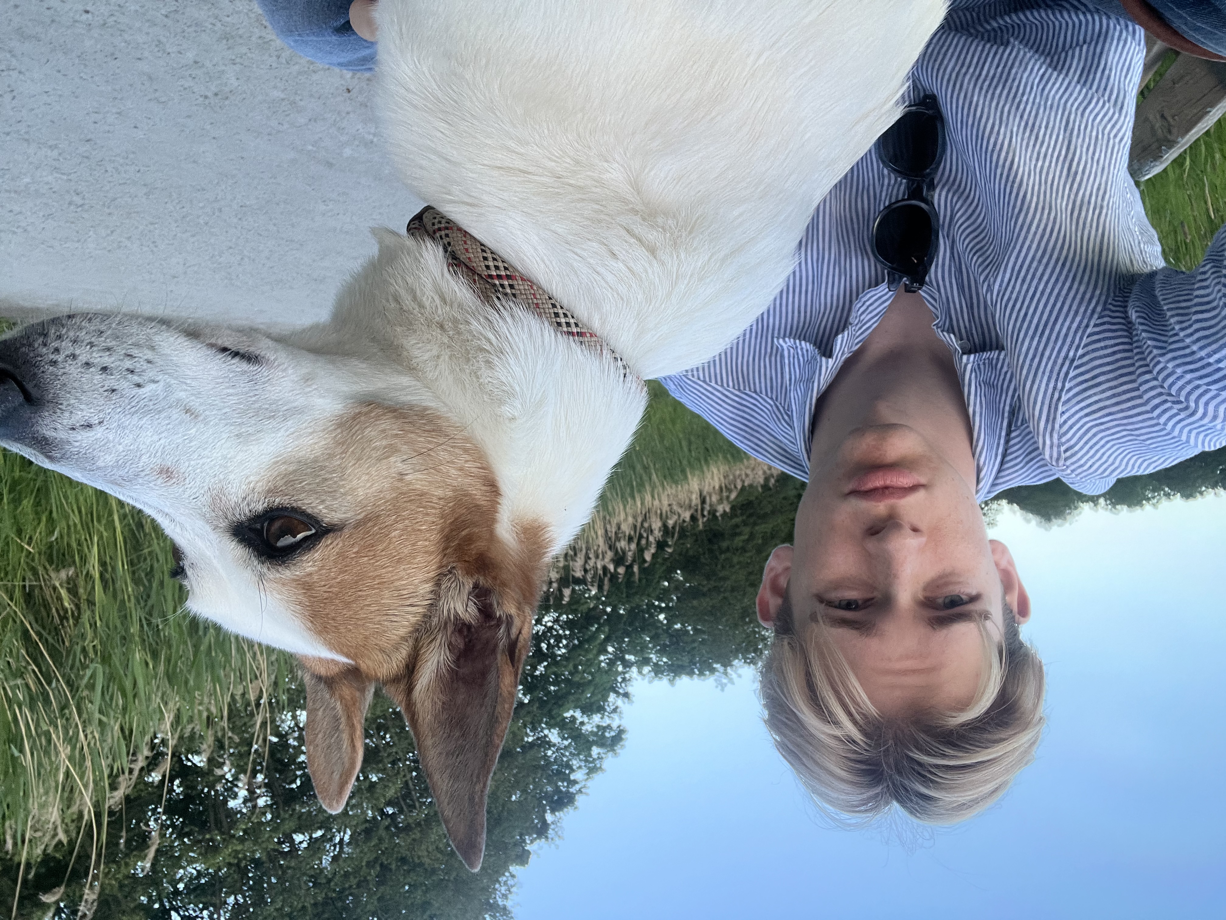 image-0