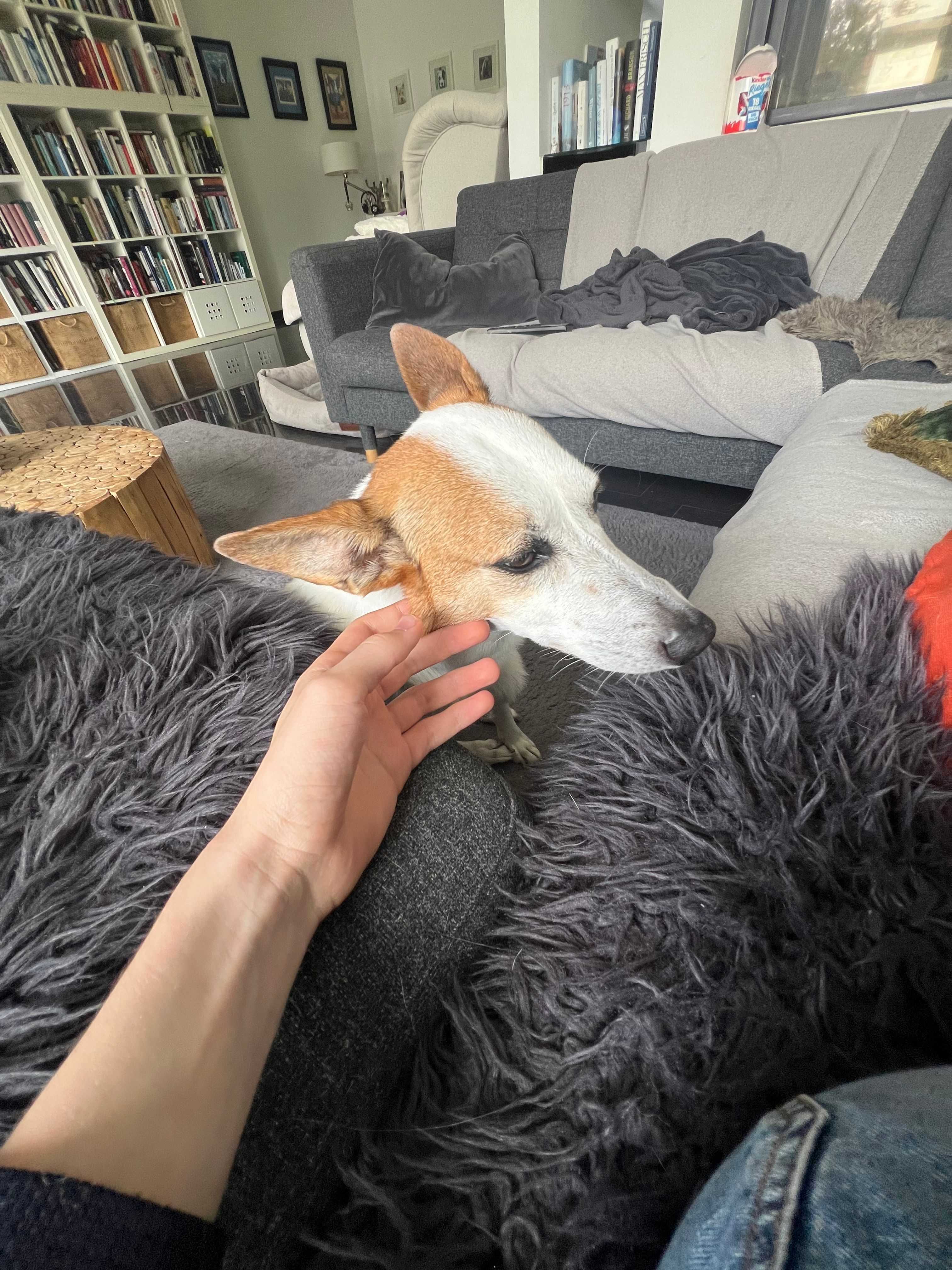 image-10