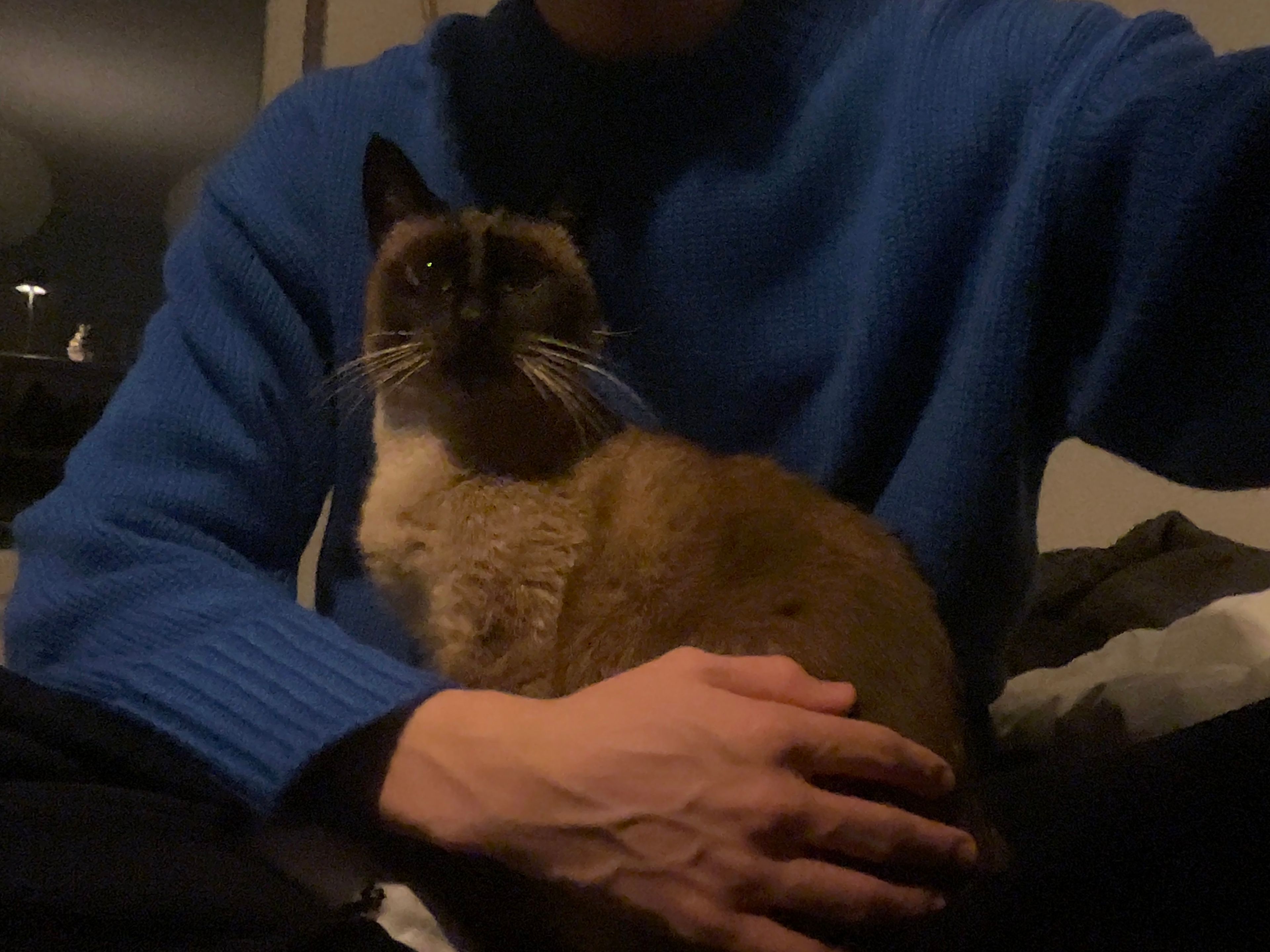 image-4