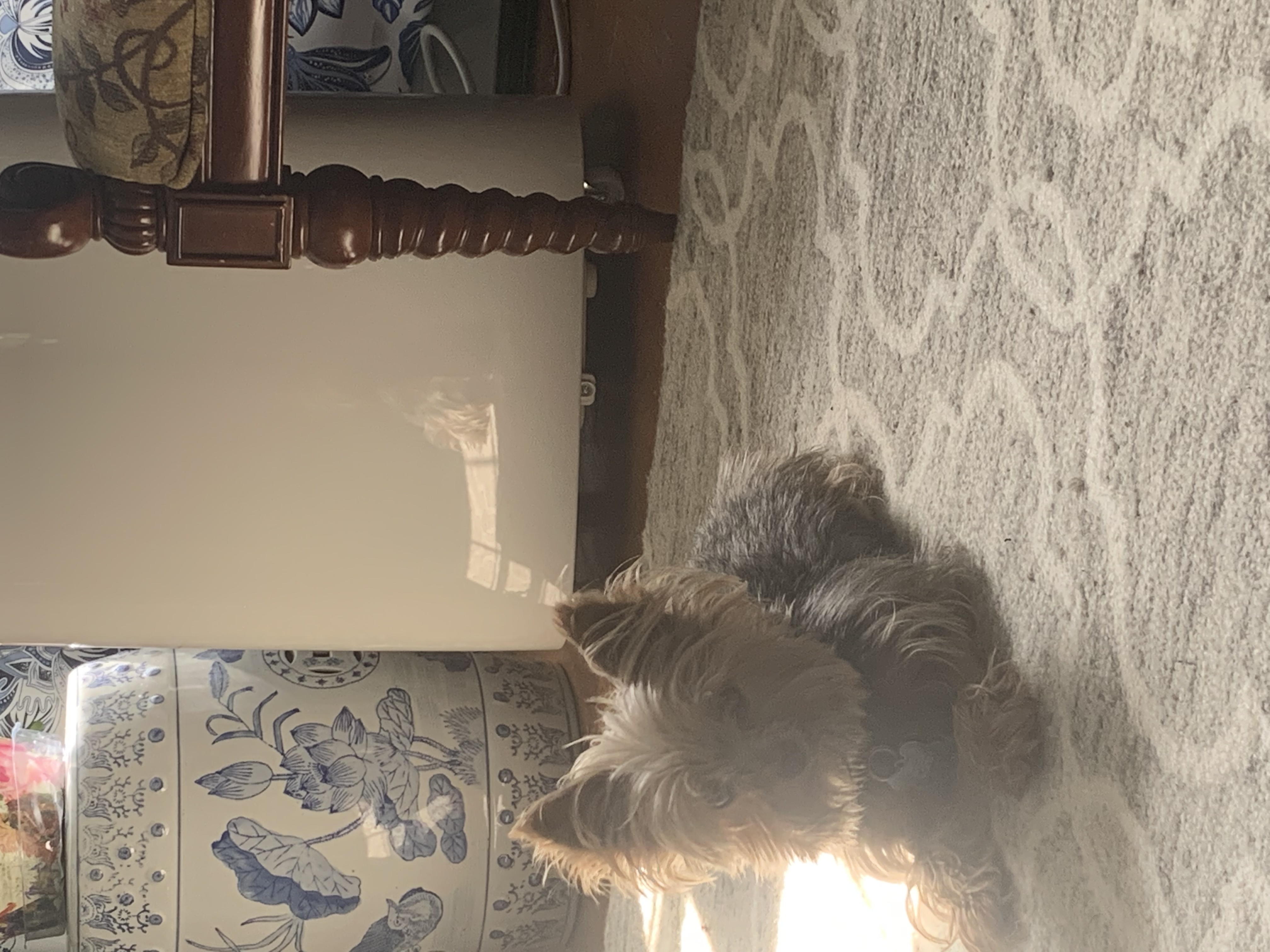 image-12
