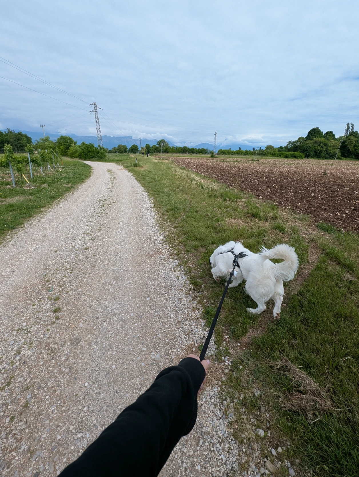 image-8