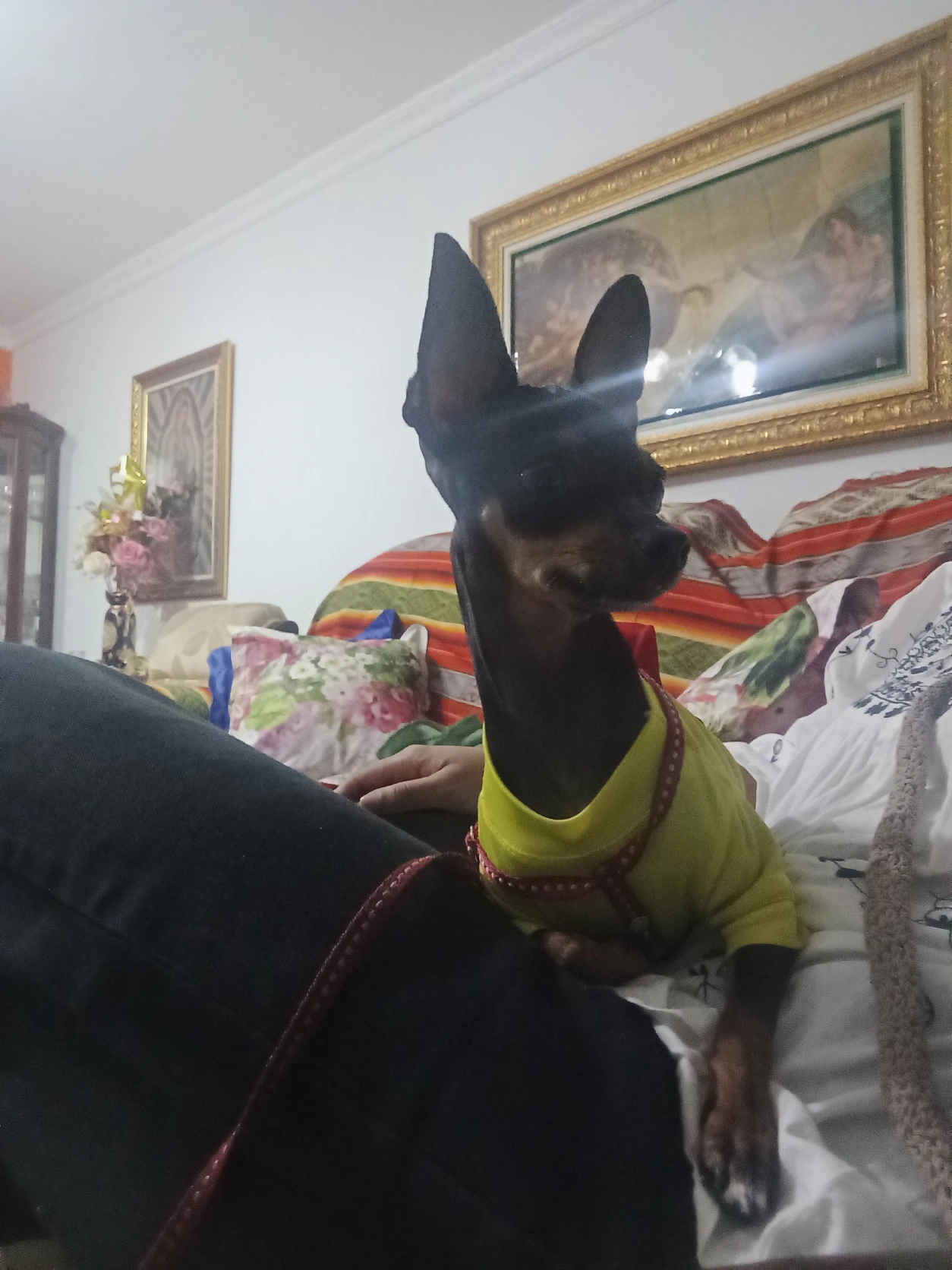 image-10