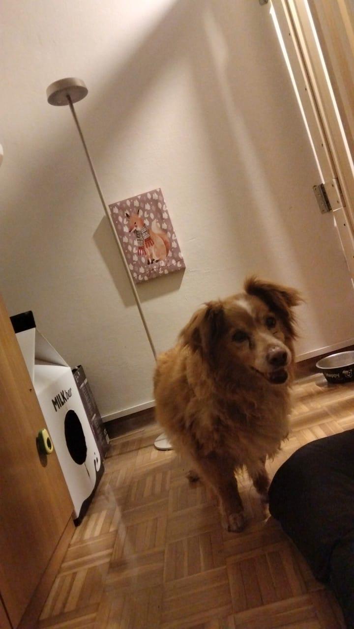 image-16