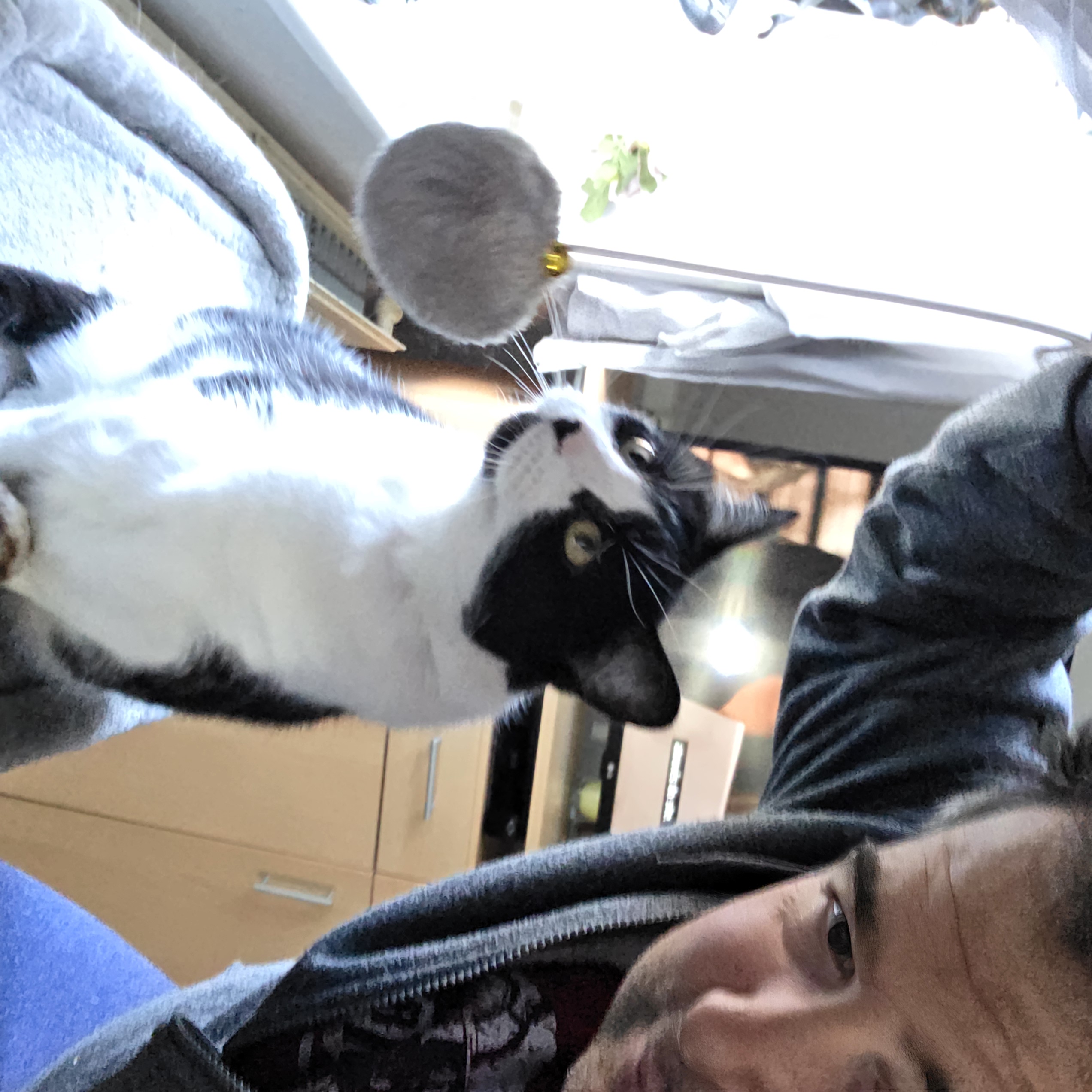 image-8