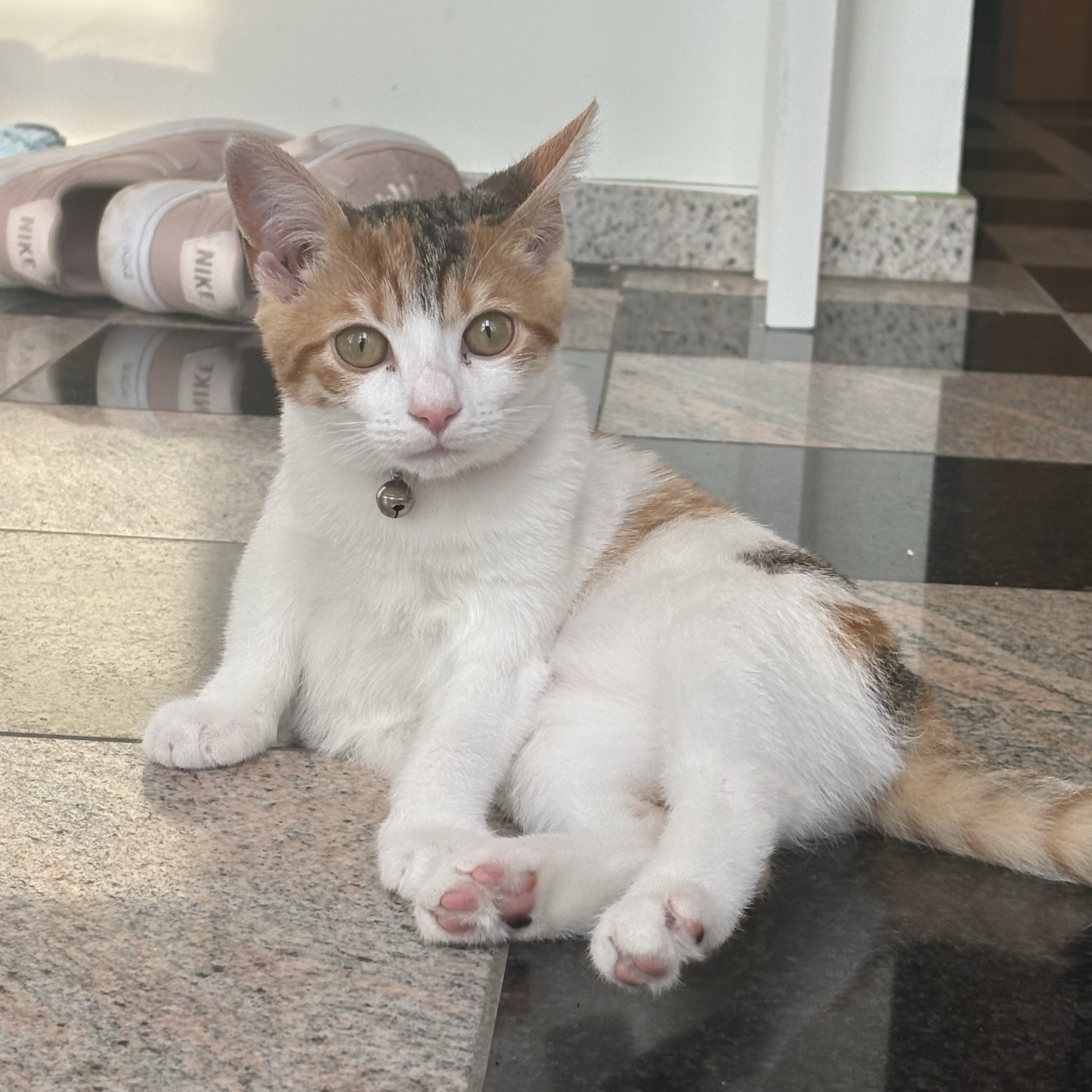 Kiki