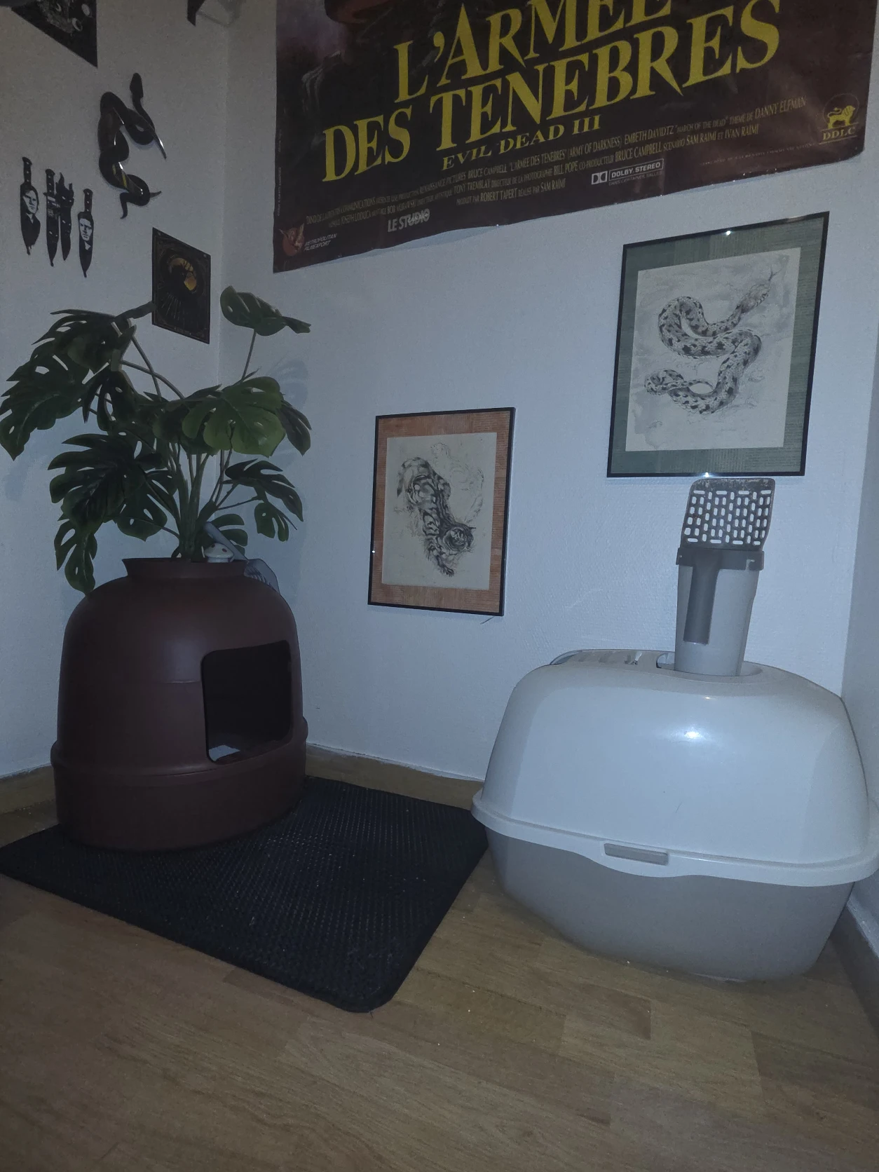 image-19