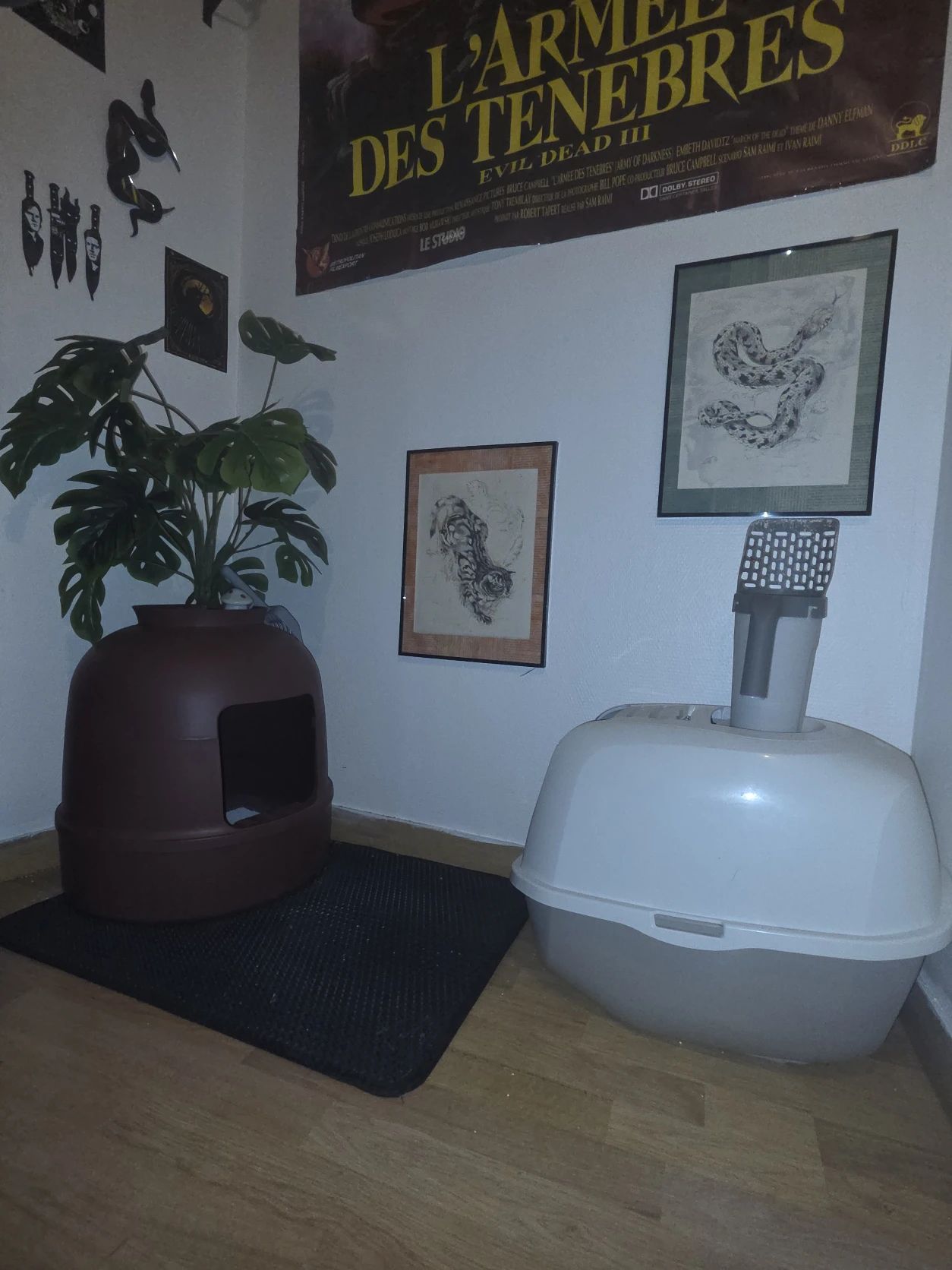 image-19