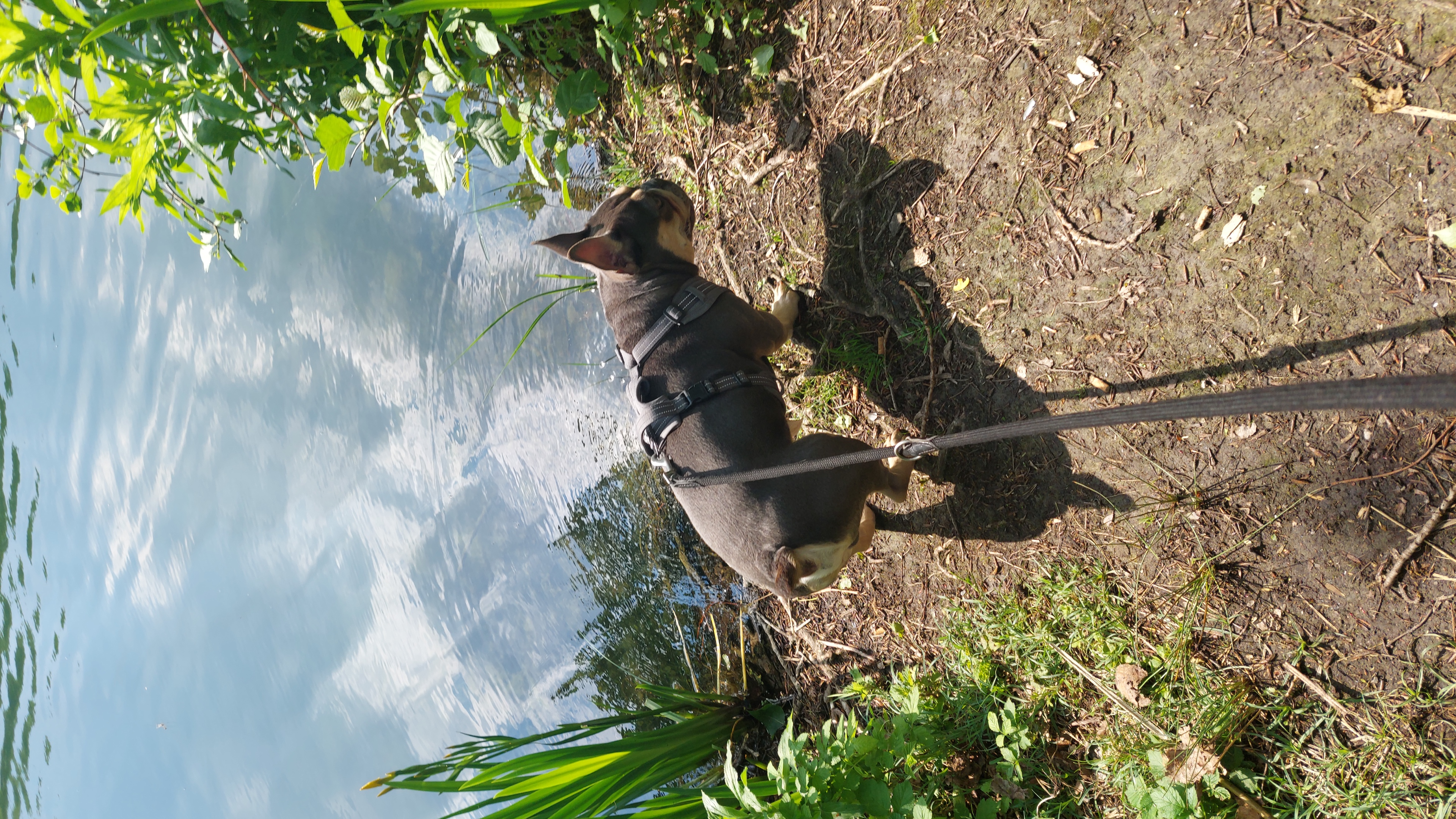 image-6