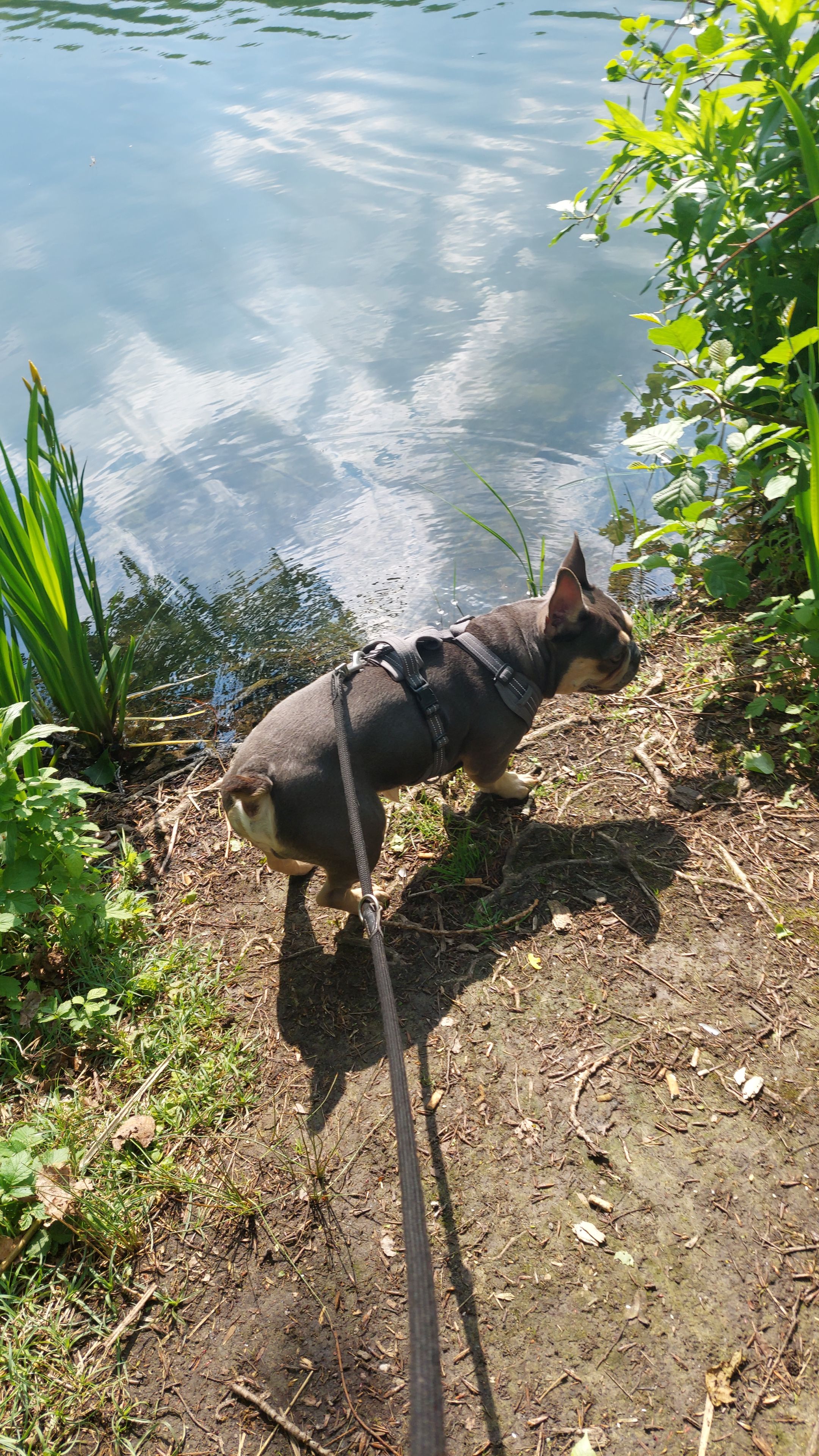 image-6