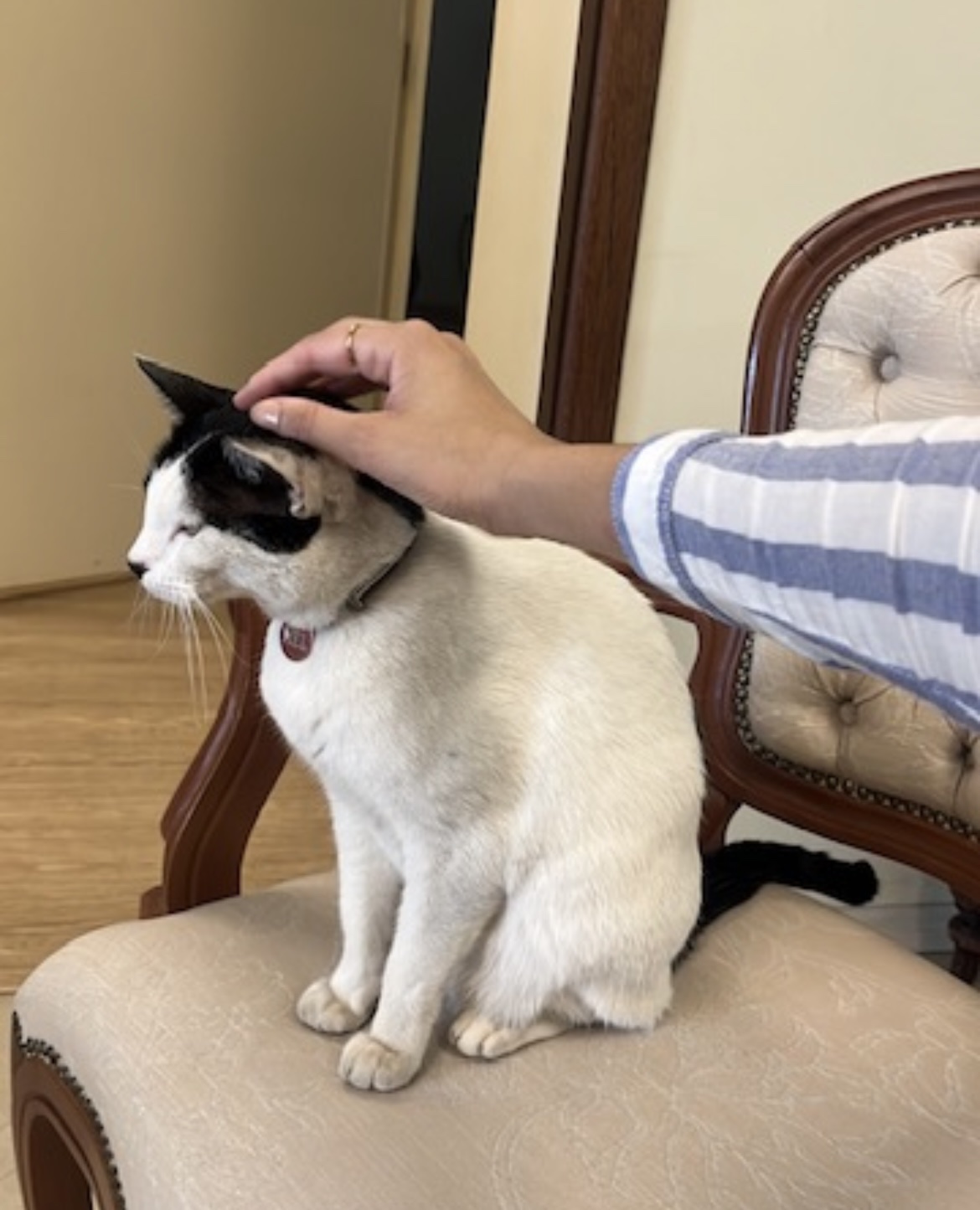 image-5