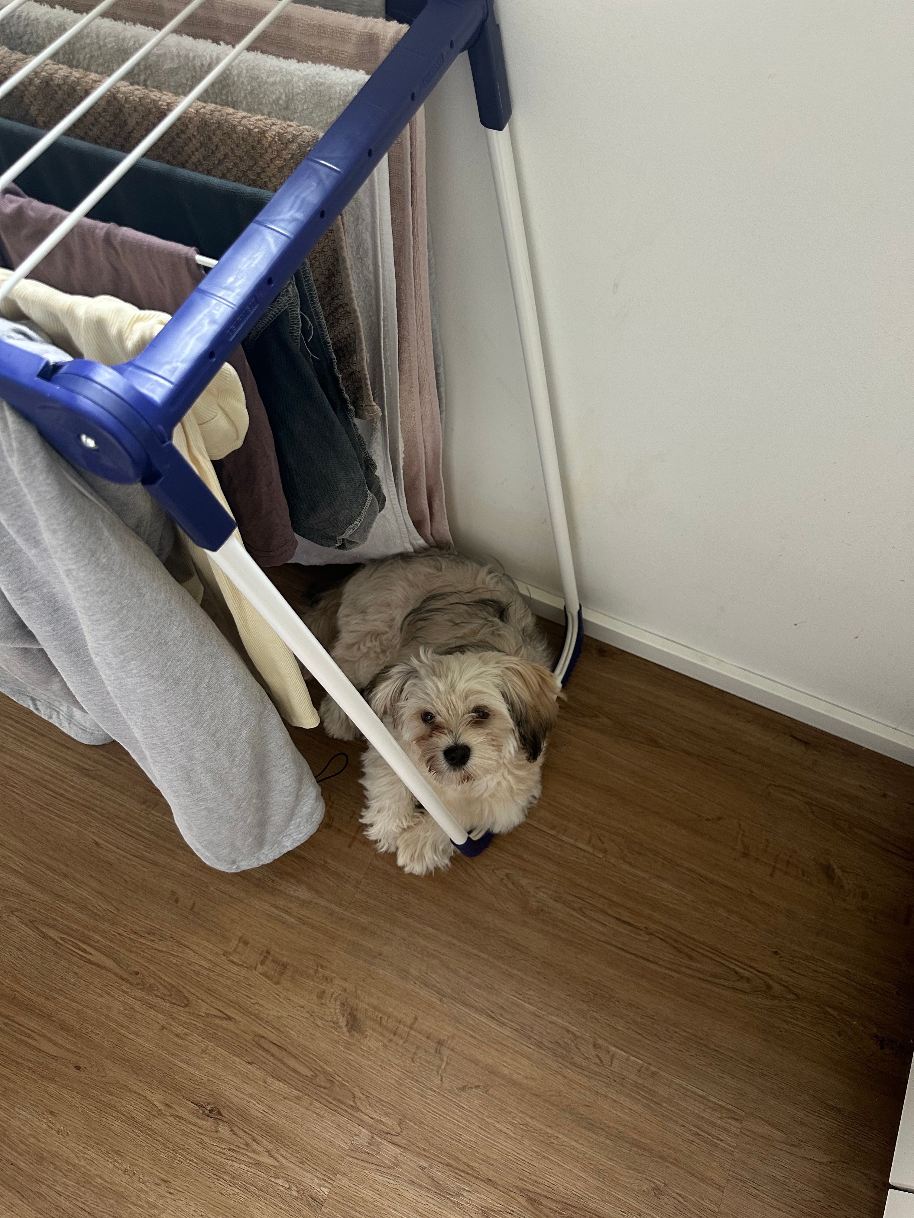 image-18