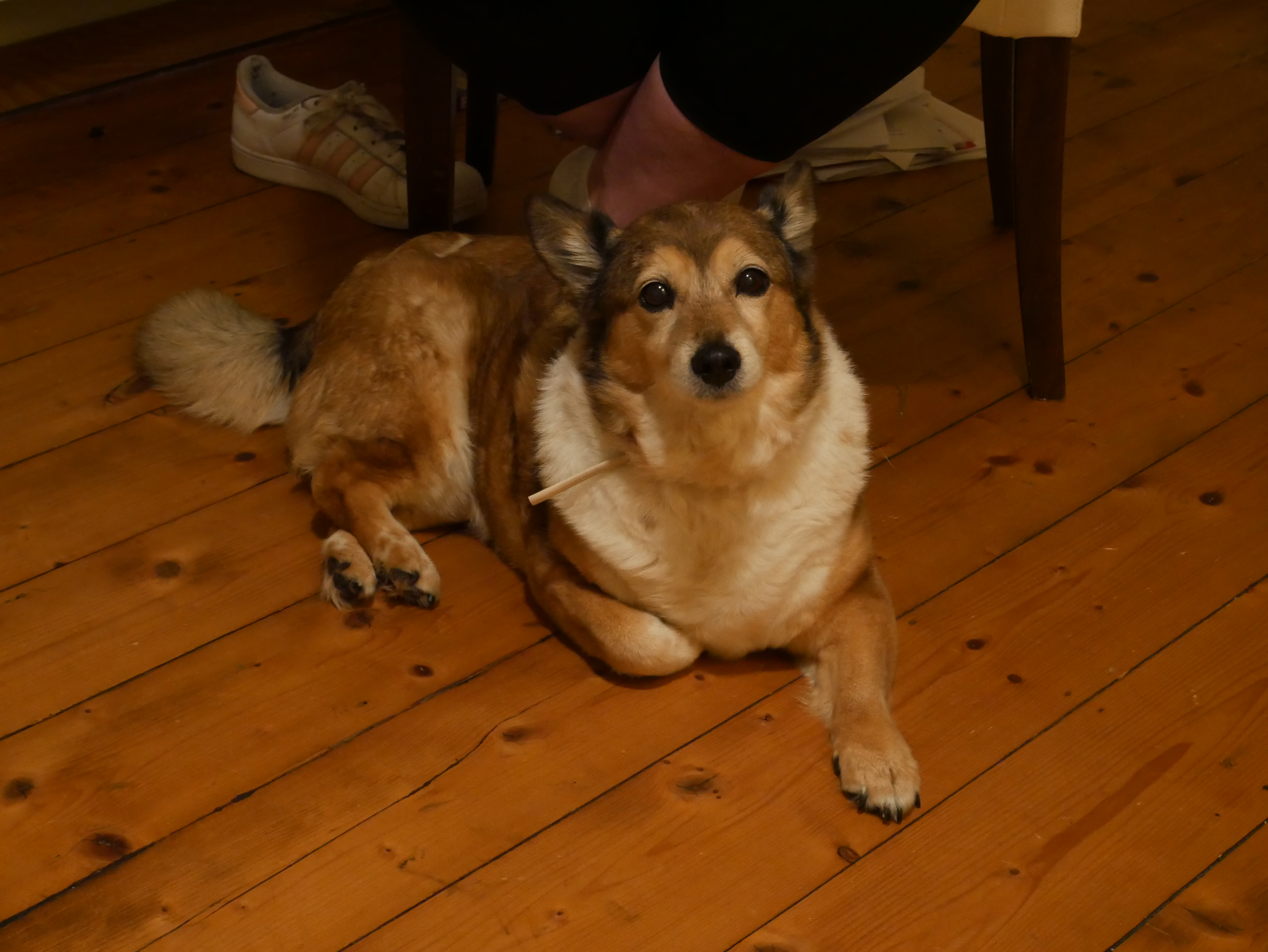 image-6