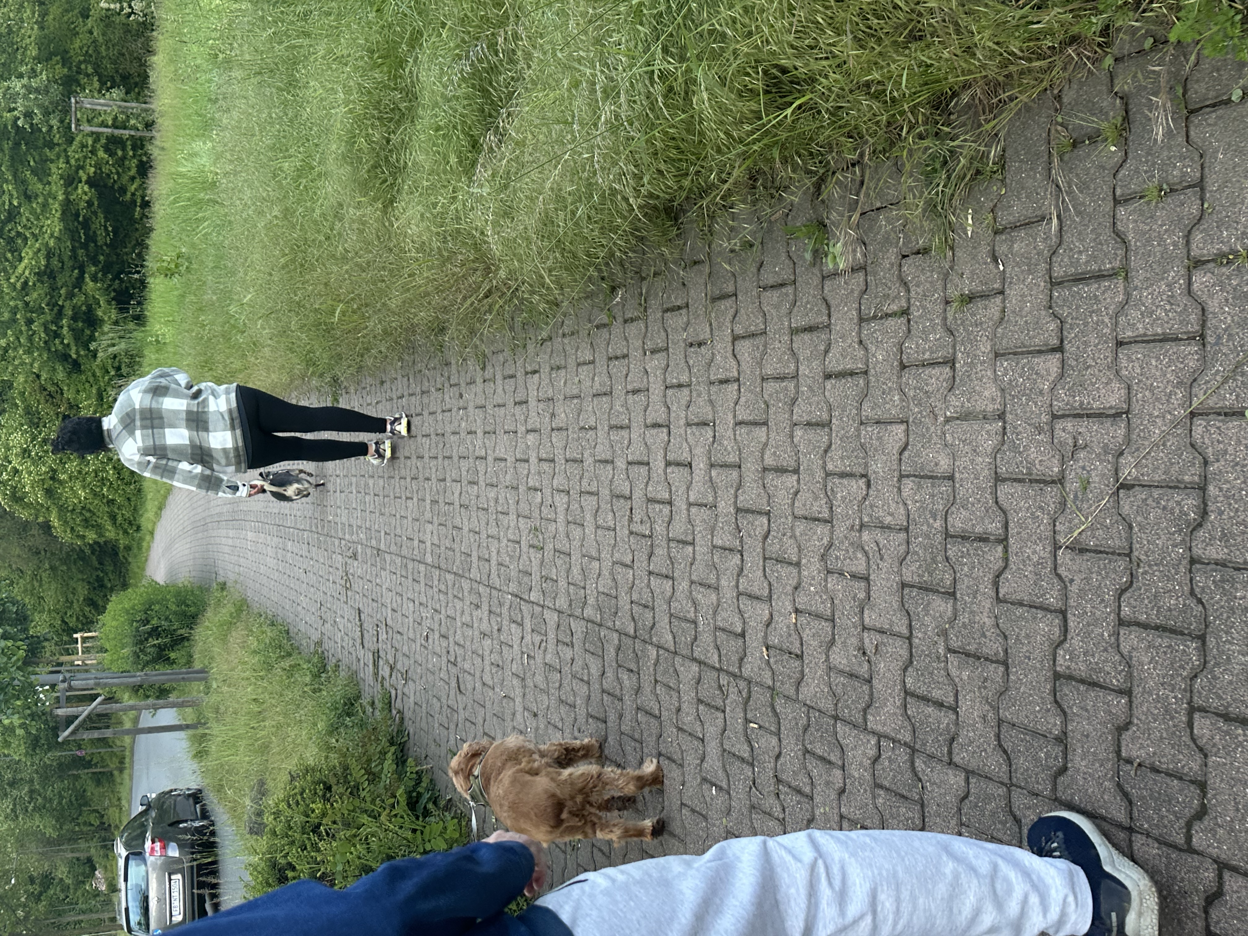 image-17