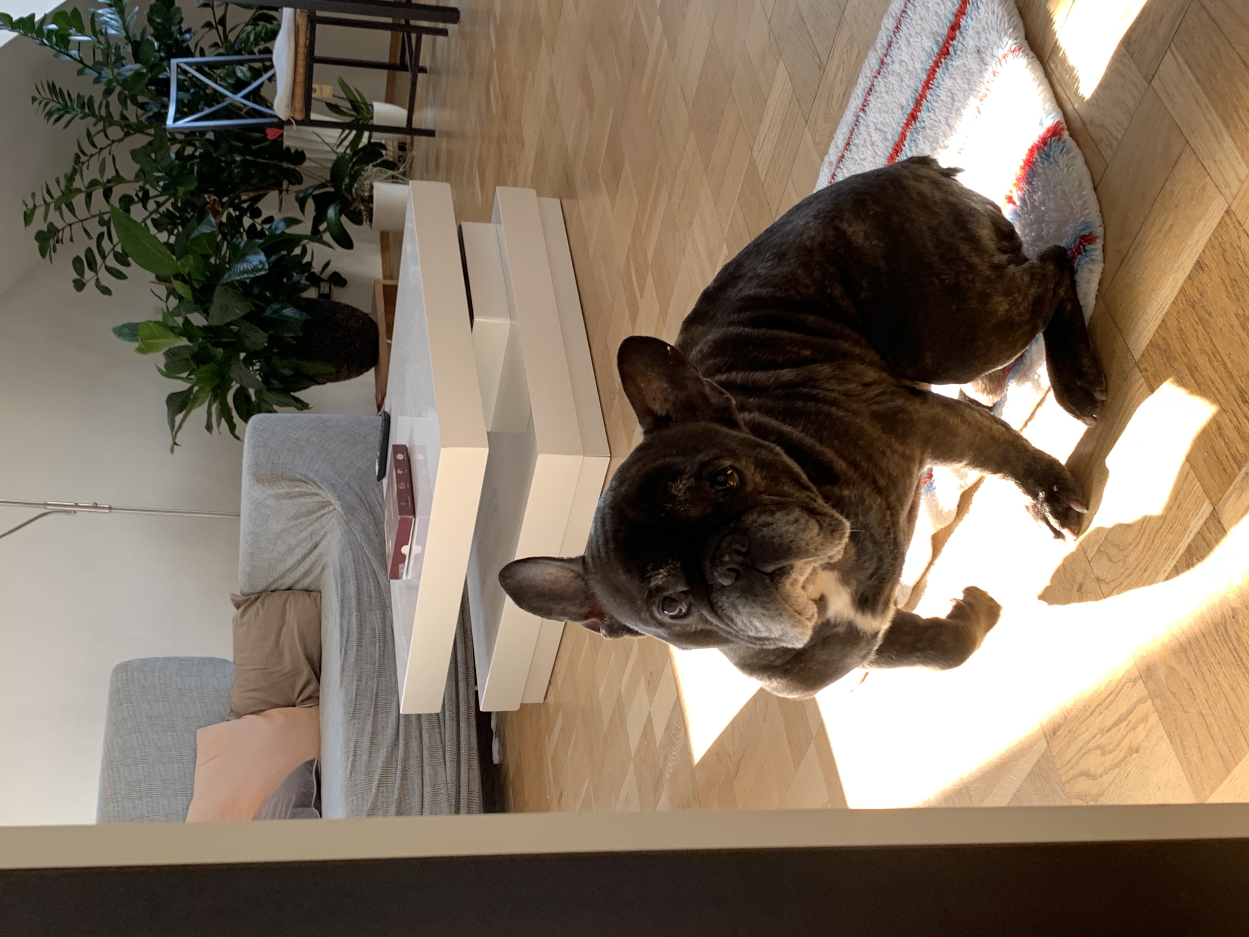 image-8