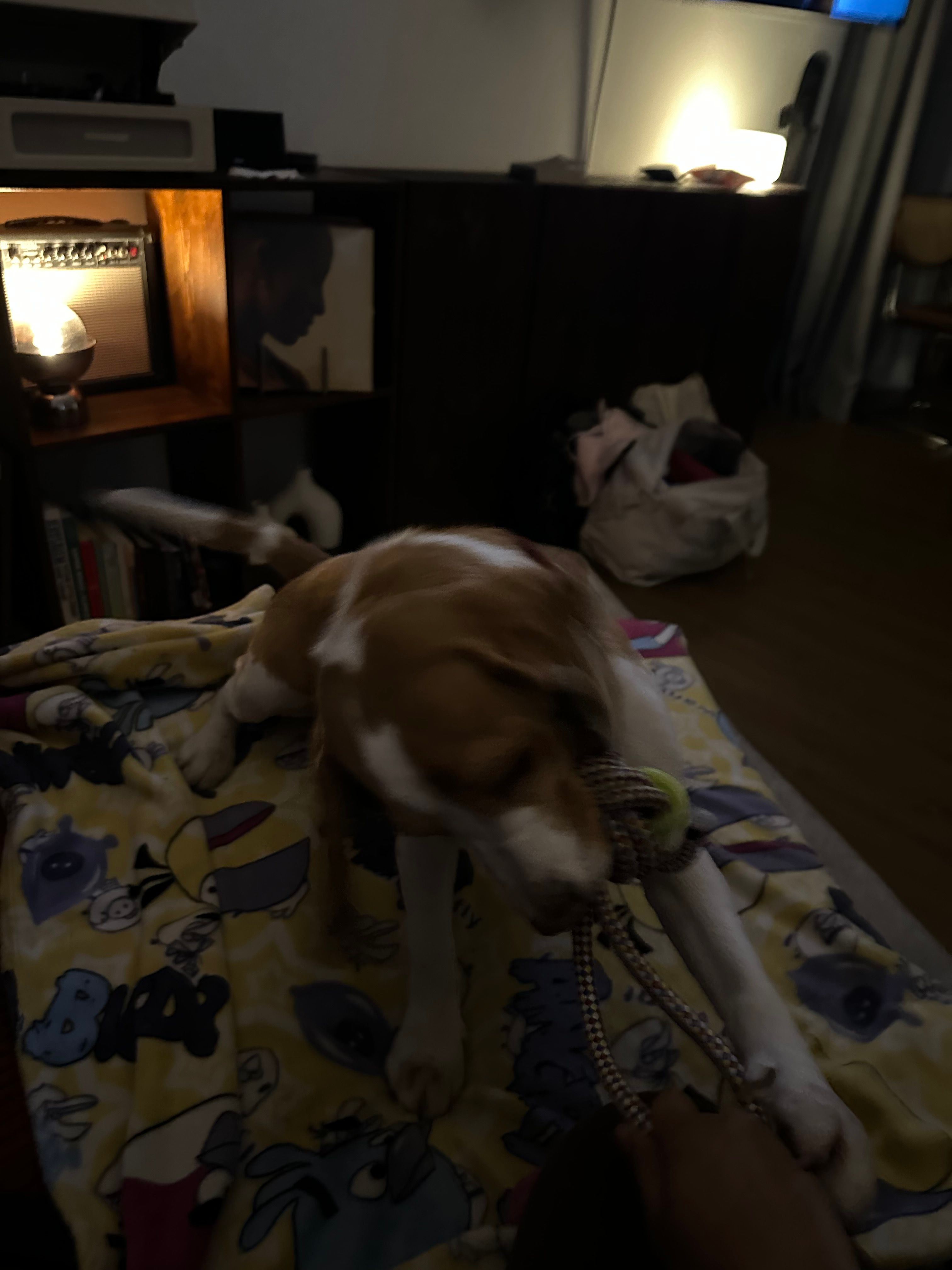 image-12