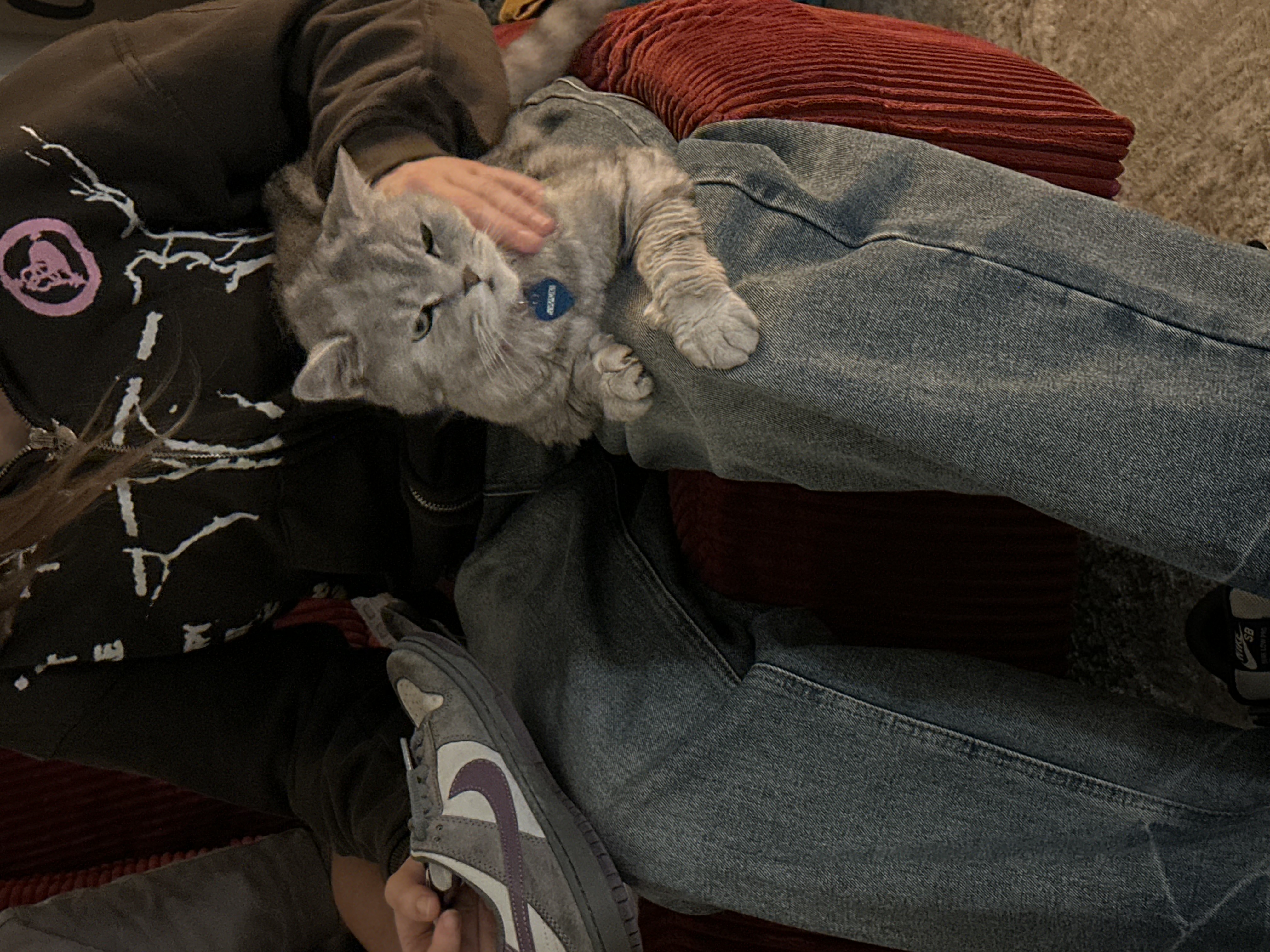 image-13