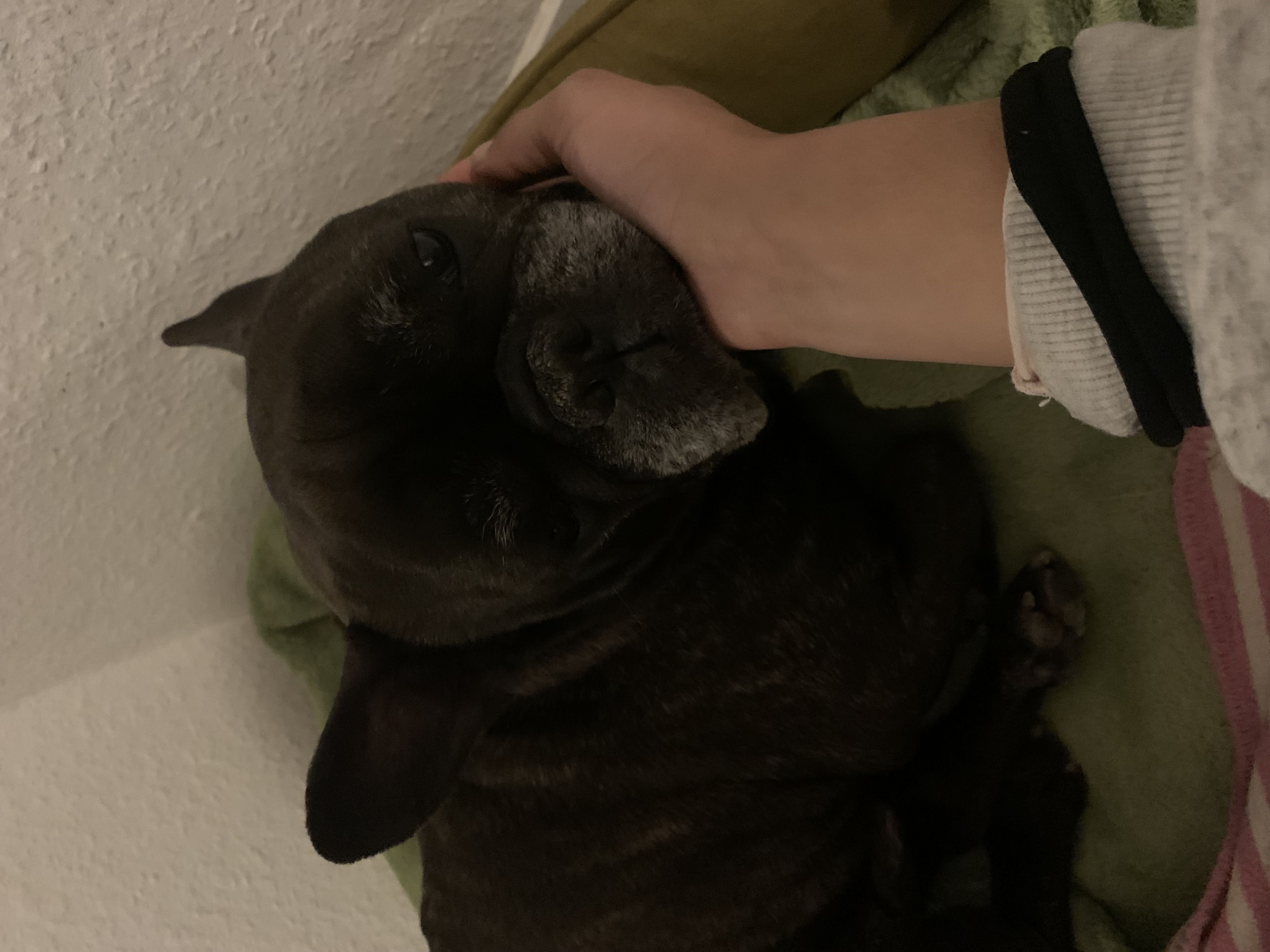 image-11