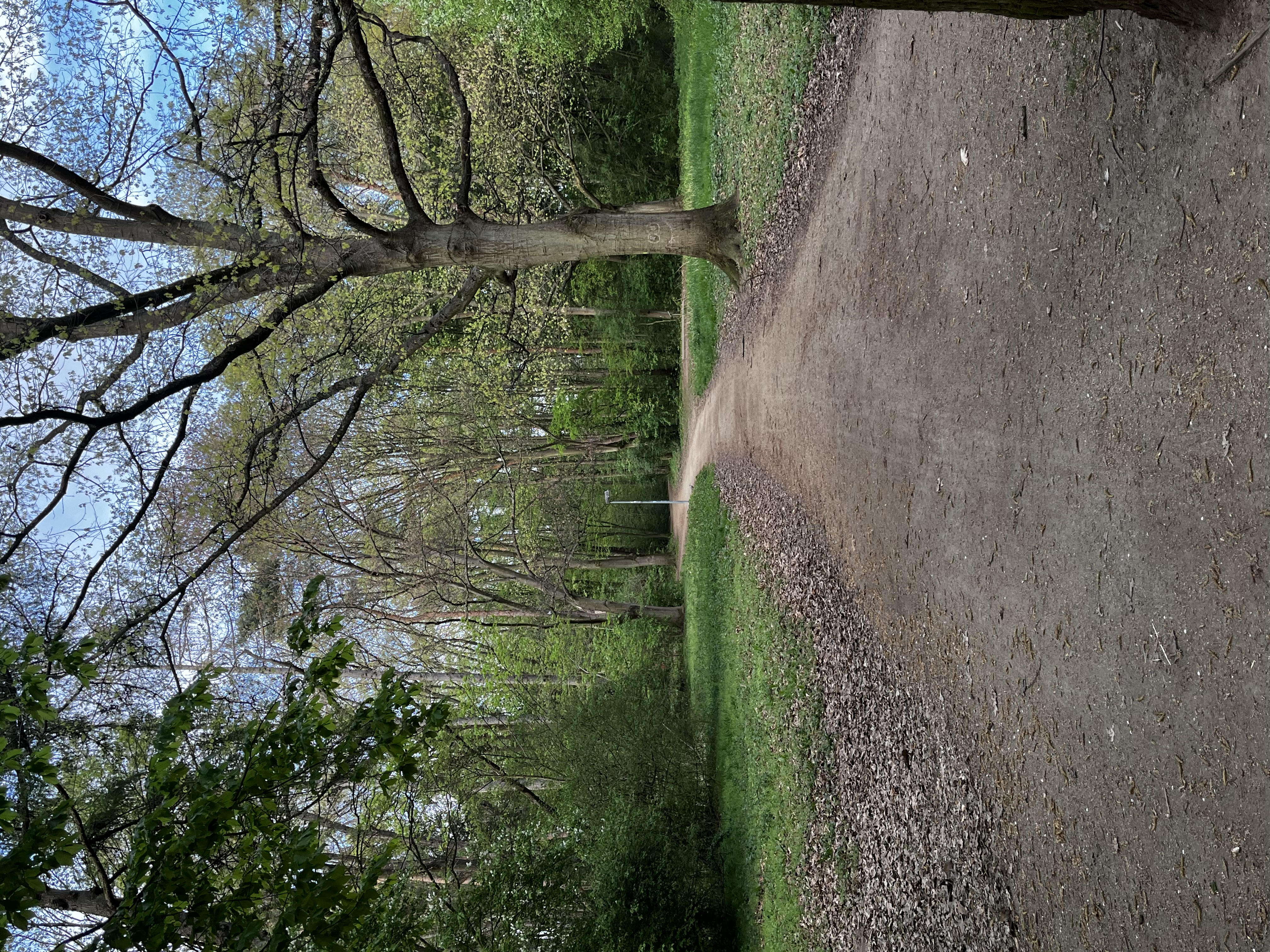 image-20