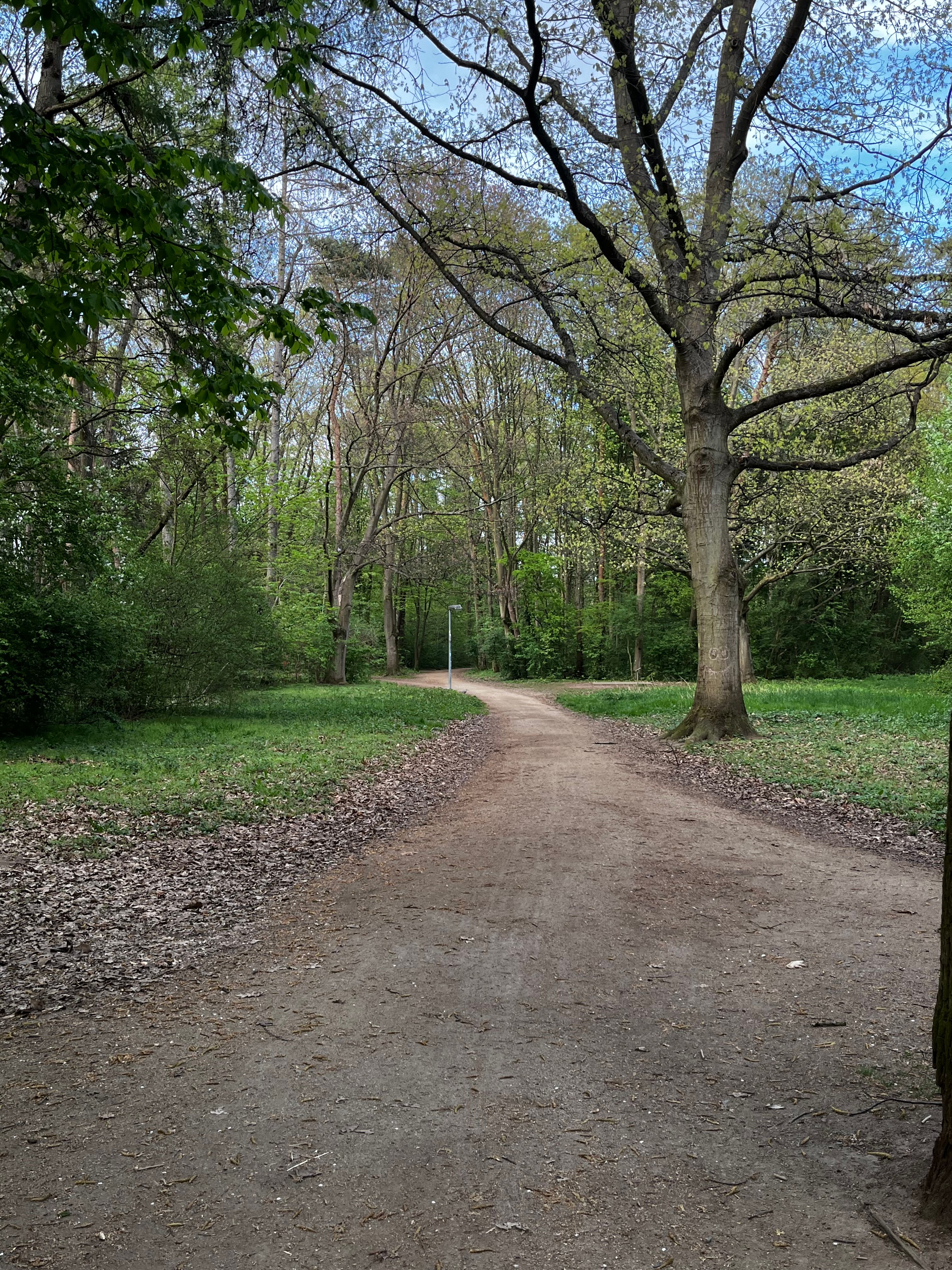image-20