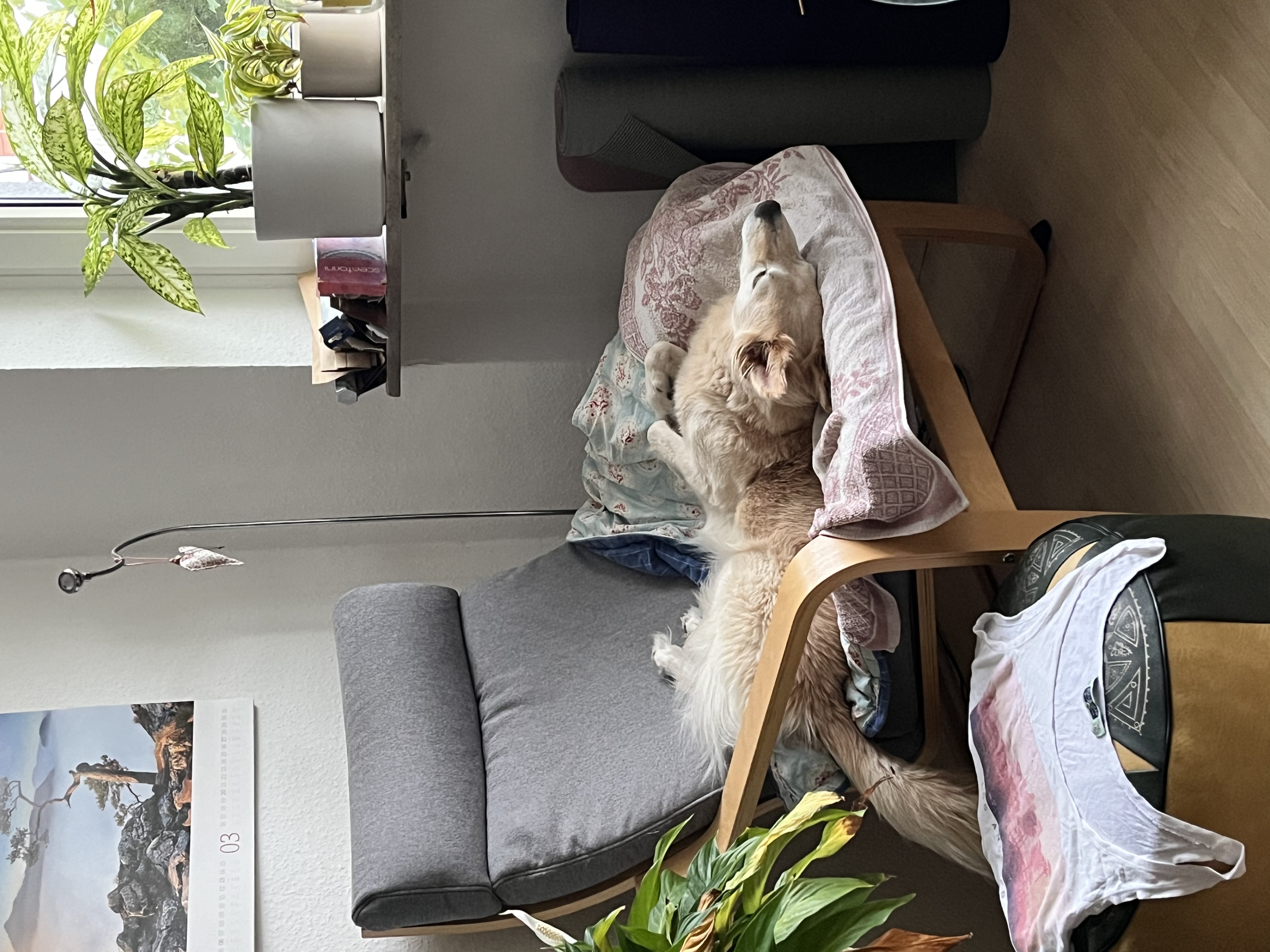 image-7