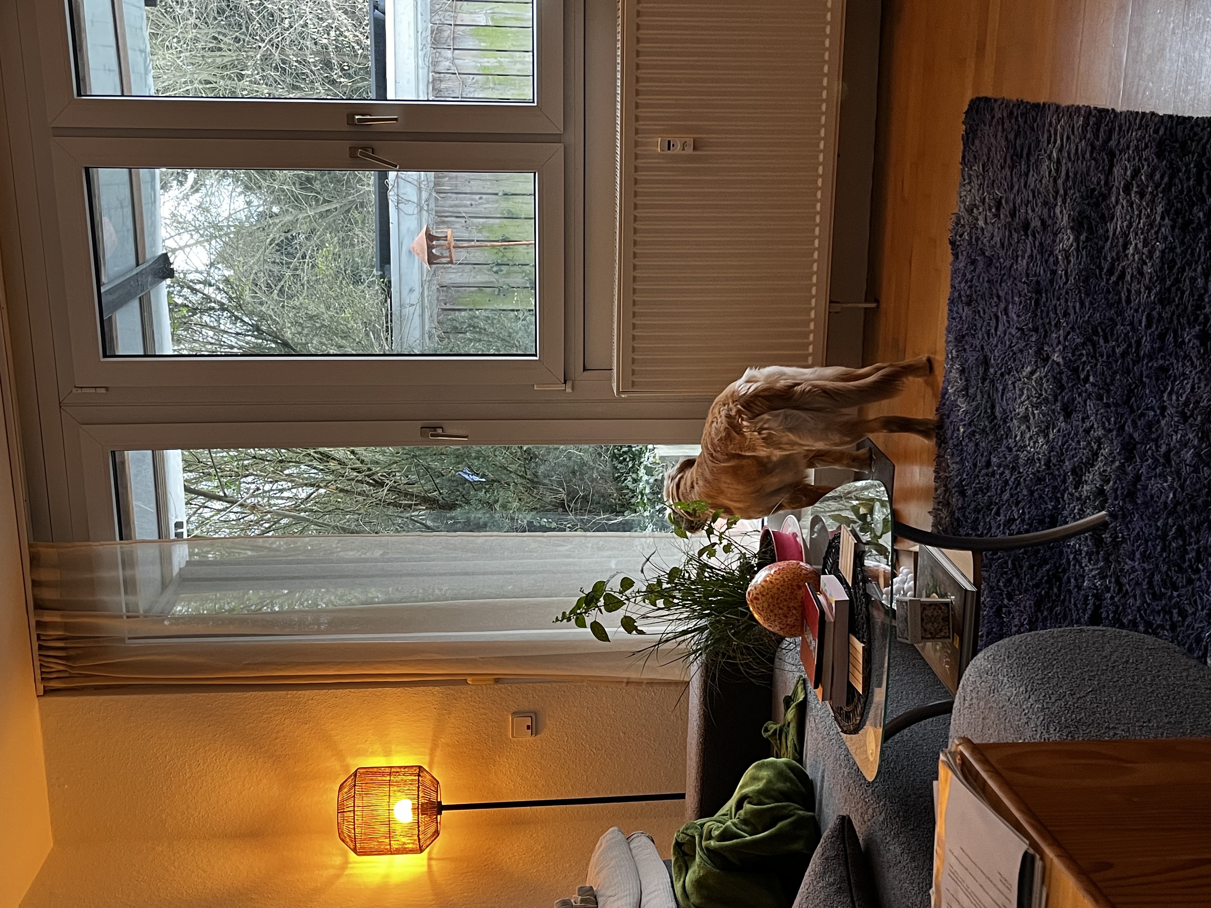 image-18