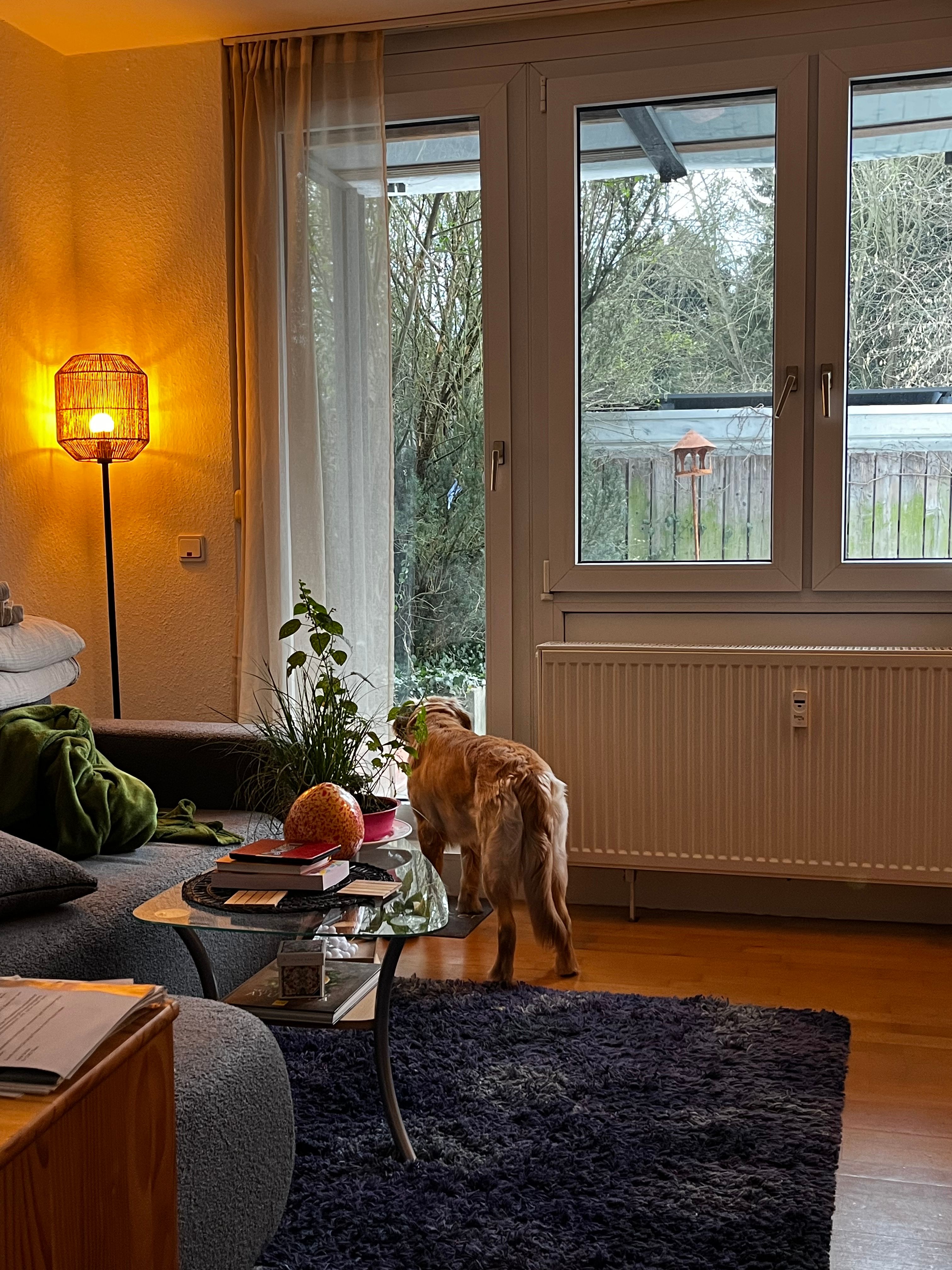 image-18