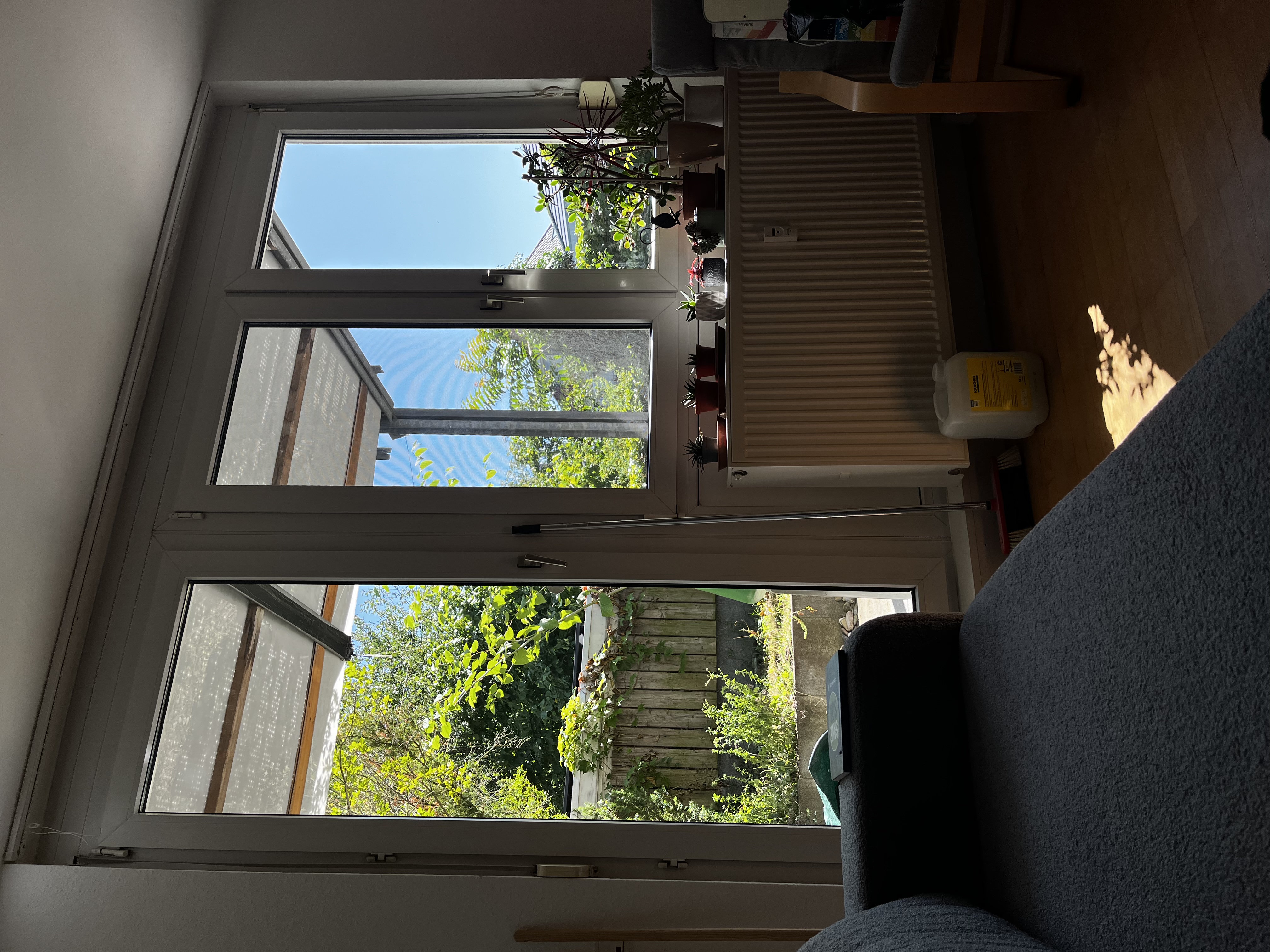 image-19