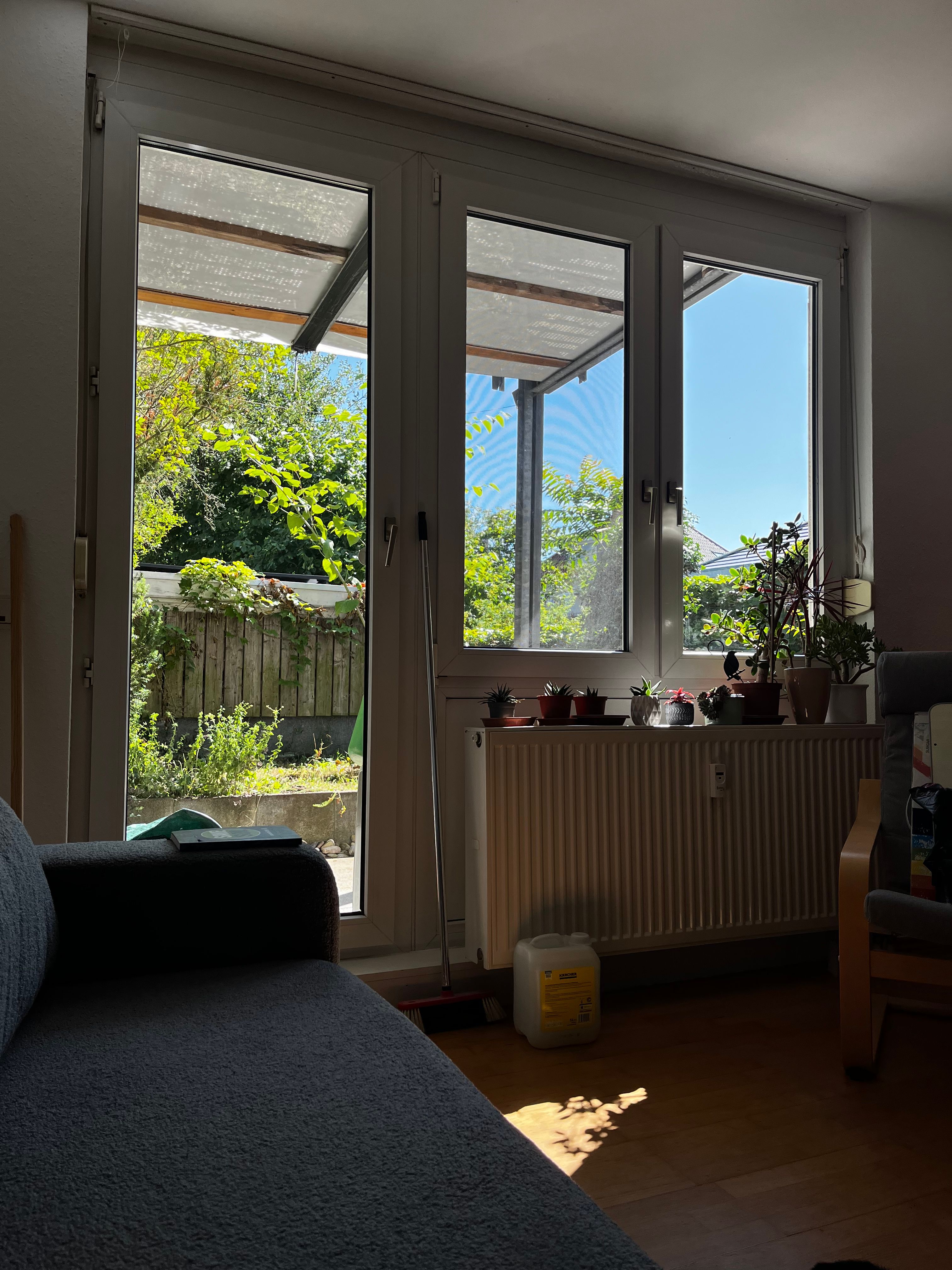 image-19