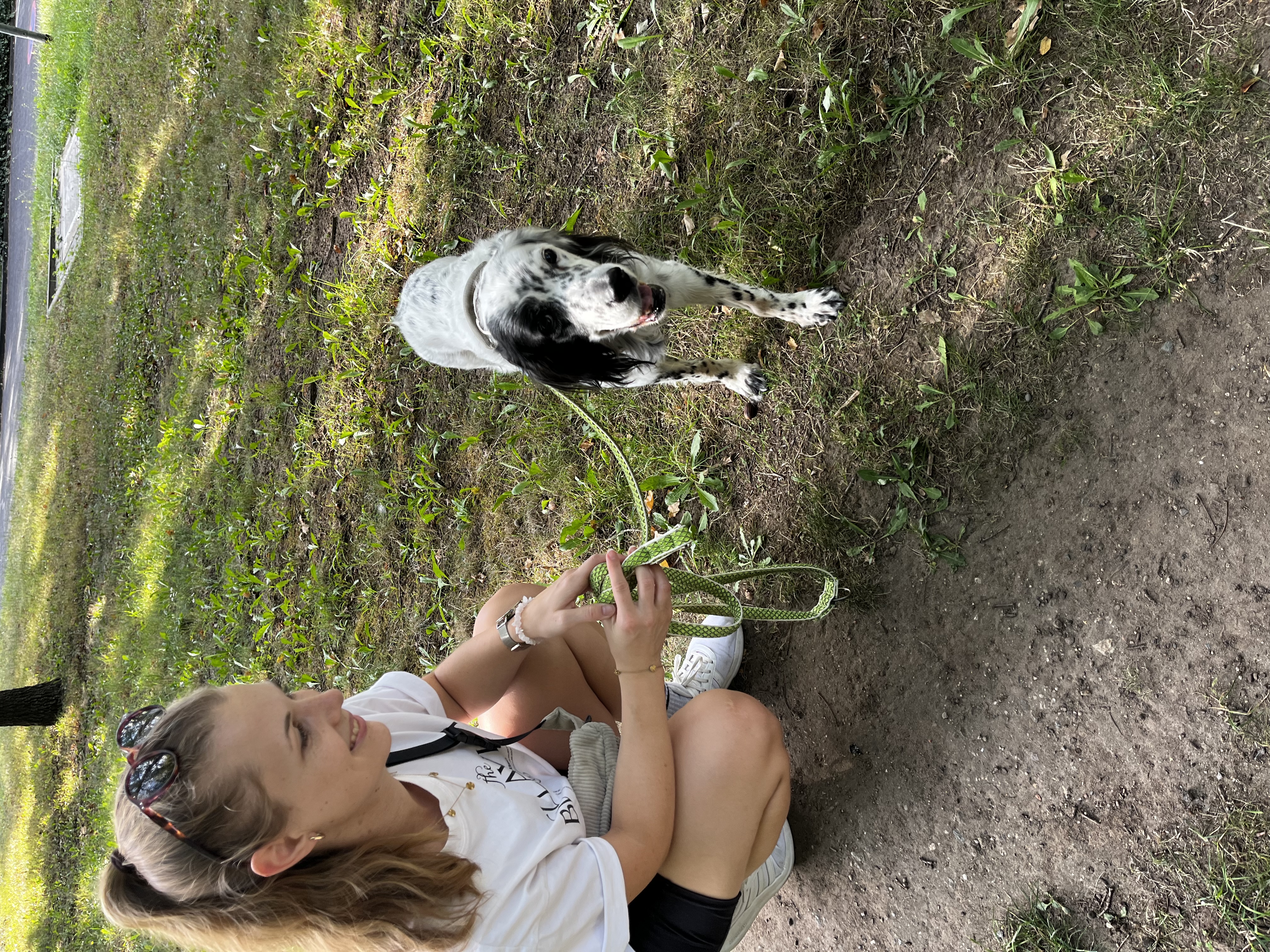 image-9