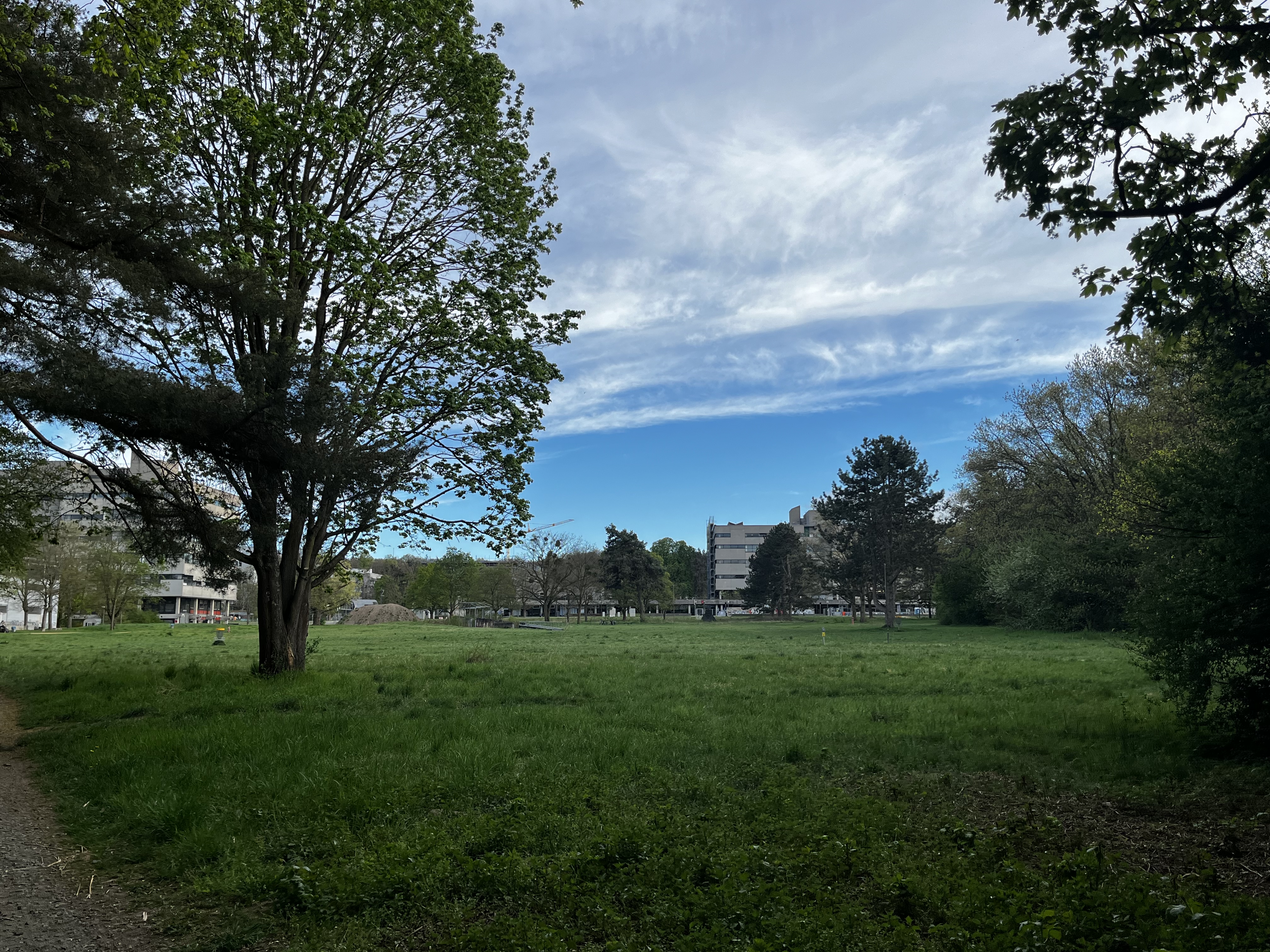 image-21